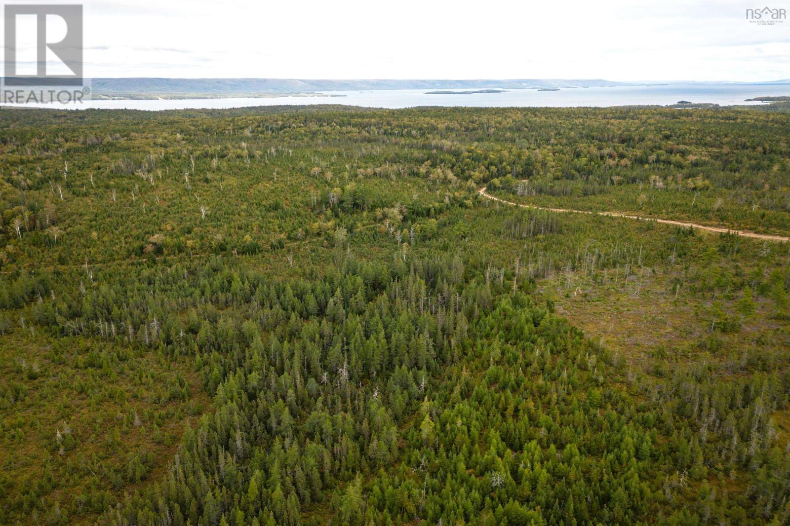 44 Acres Rear Black River Road, Grande Anse, Nova Scotia  B0E 3K0 - Photo 4 - 202426605