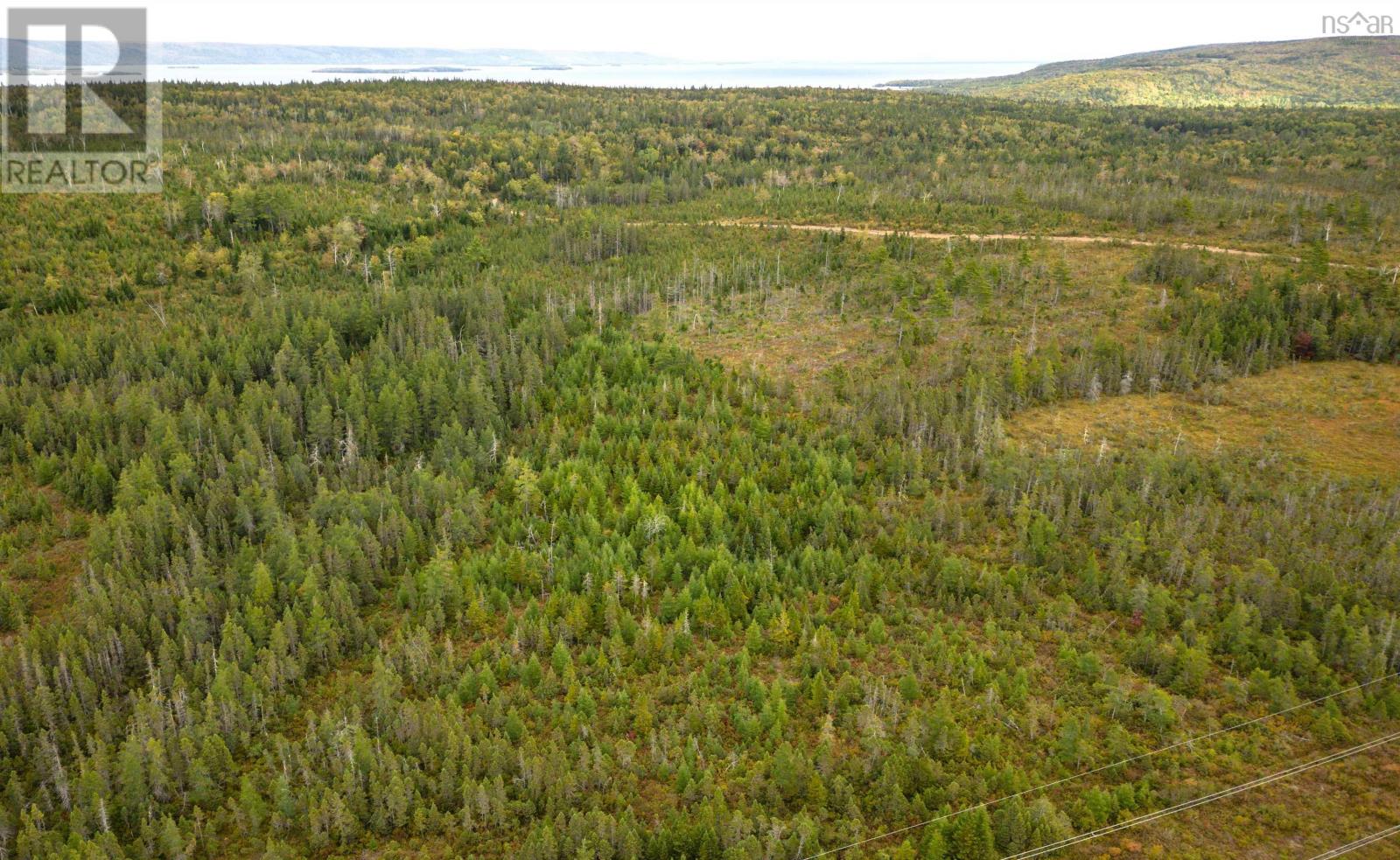 44 Acres Rear Black River Road, Grande Anse, Nova Scotia  B0E 3K0 - Photo 5 - 202426605