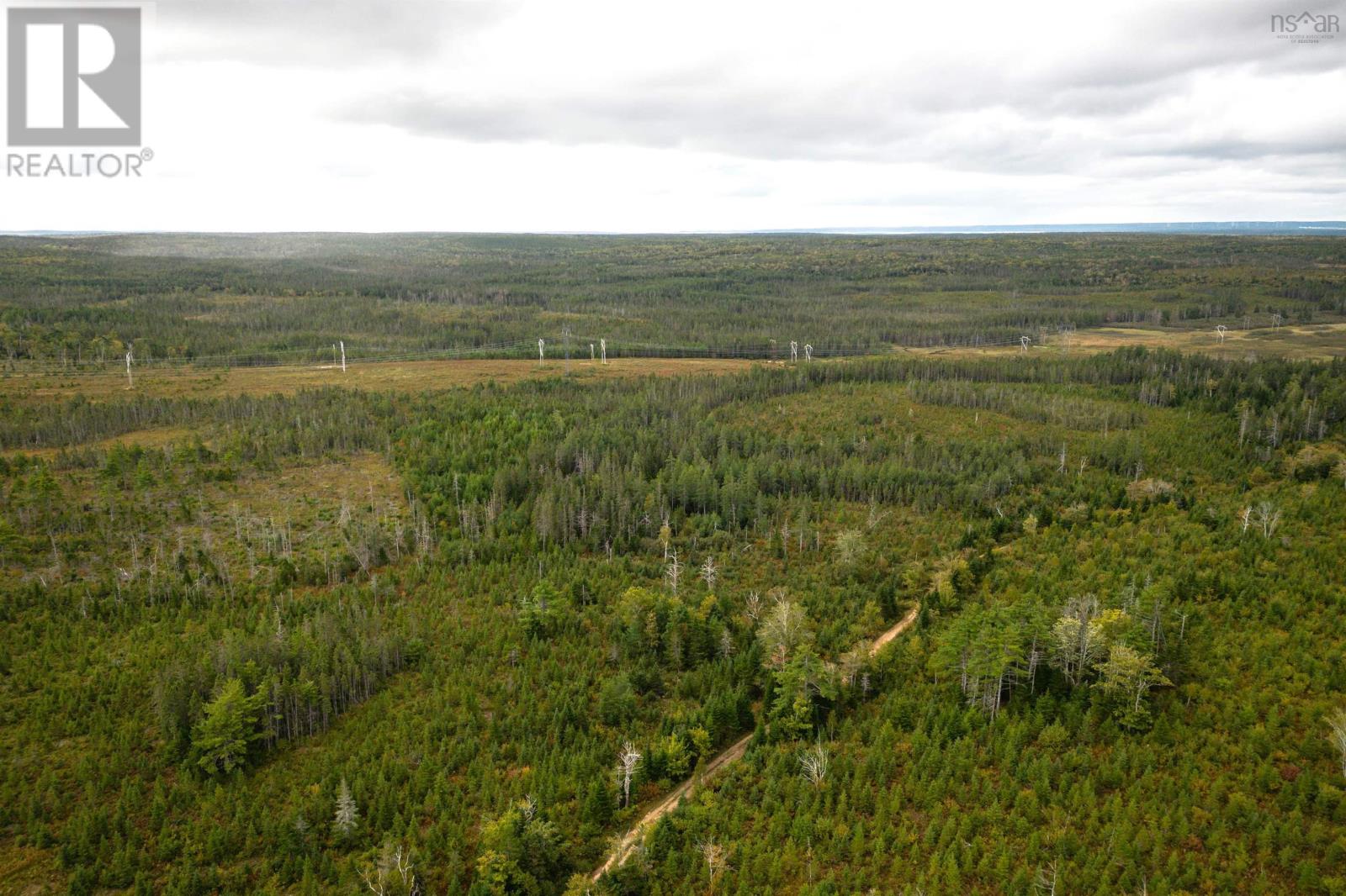 44 Acres Rear Black River Road, Grande Anse, Nova Scotia  B0E 3K0 - Photo 6 - 202426605