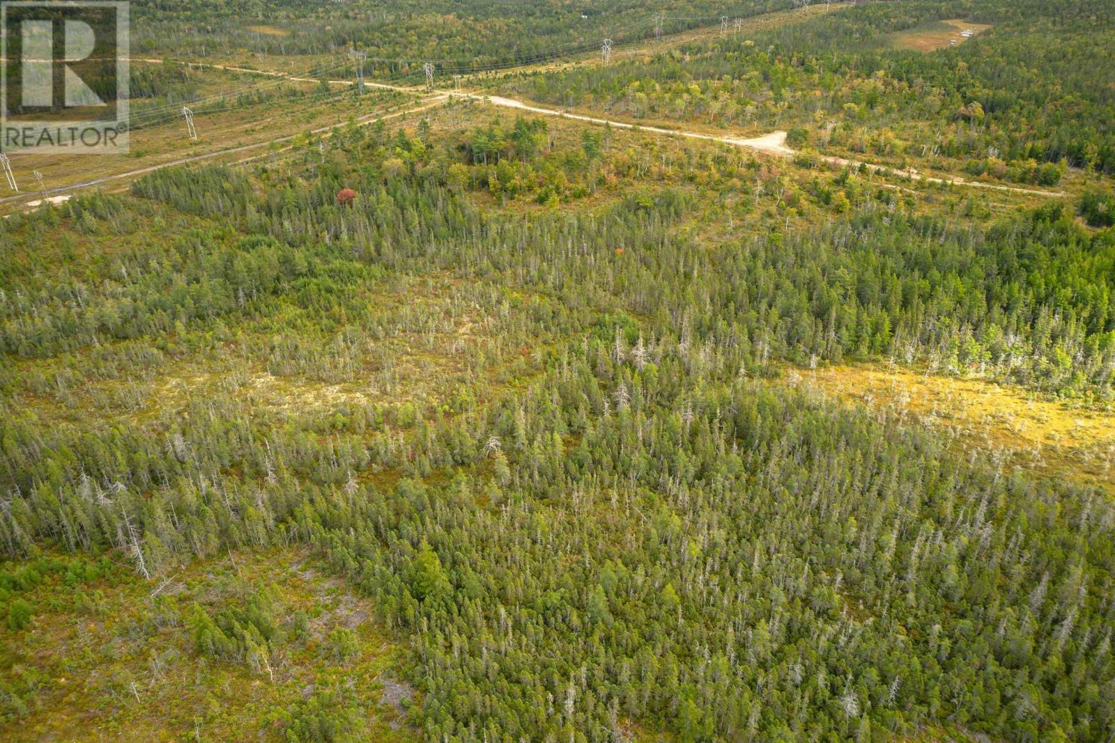 44 Acres Rear Black River Road, Grande Anse, Nova Scotia  B0E 3K0 - Photo 9 - 202426605