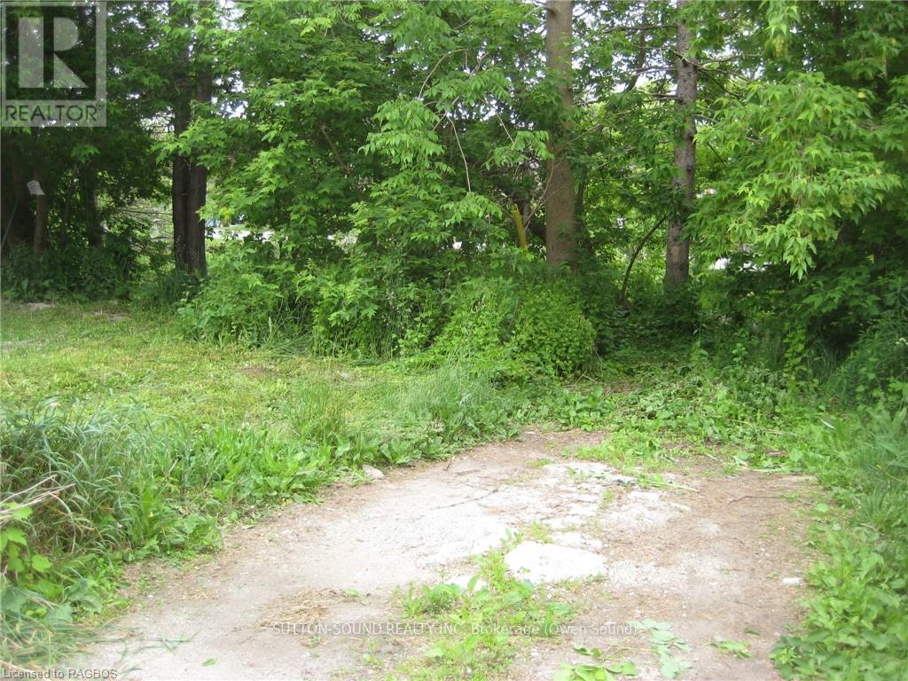 Bf Opposite Lot 1 1st Avenue E, Owen Sound, Ontario  N4K 2E1 - Photo 3 - X10851898