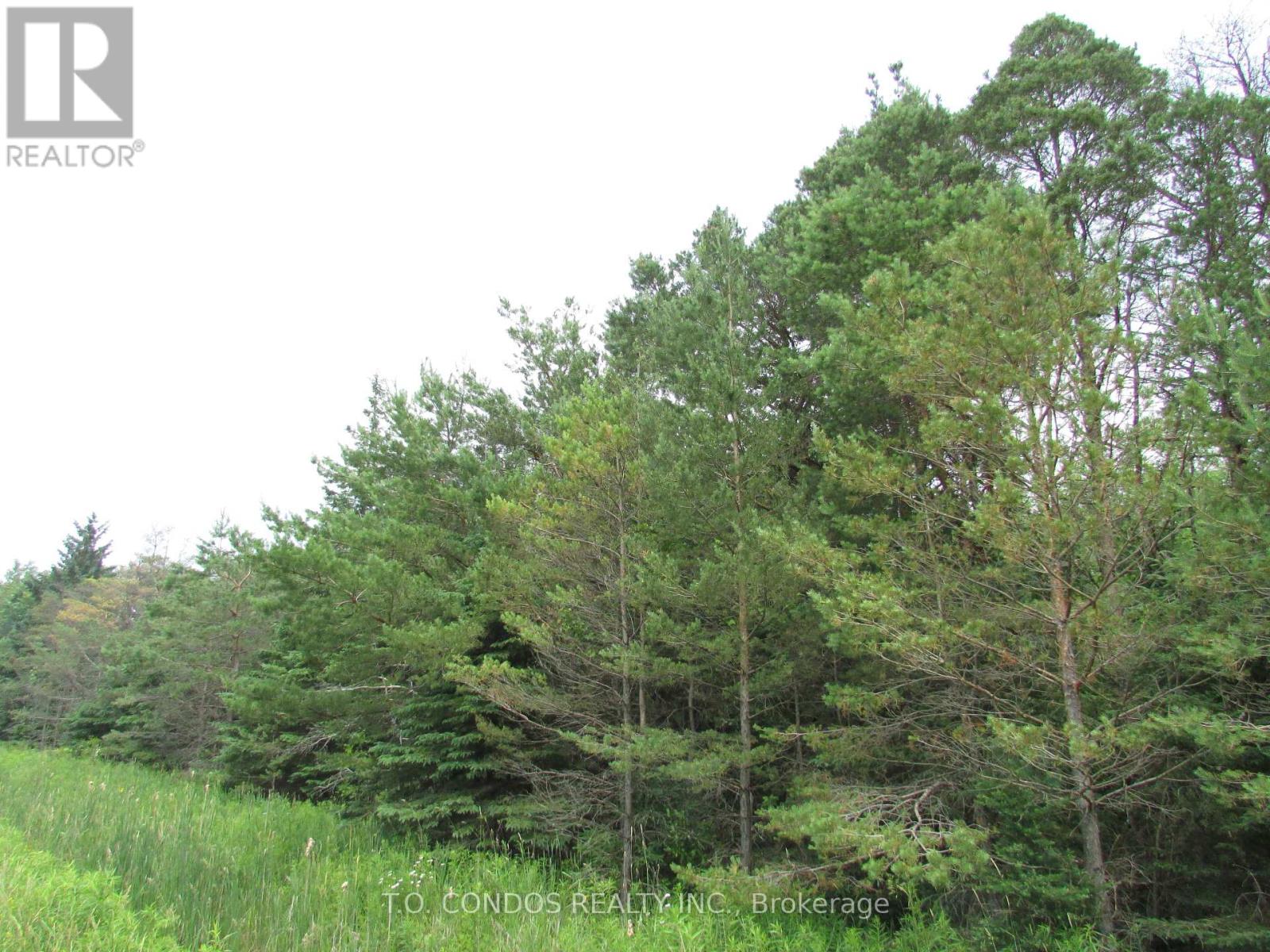 19633 48 Highway, East Gwillimbury, Ontario  L0G 1M0 - Photo 12 - N12018321