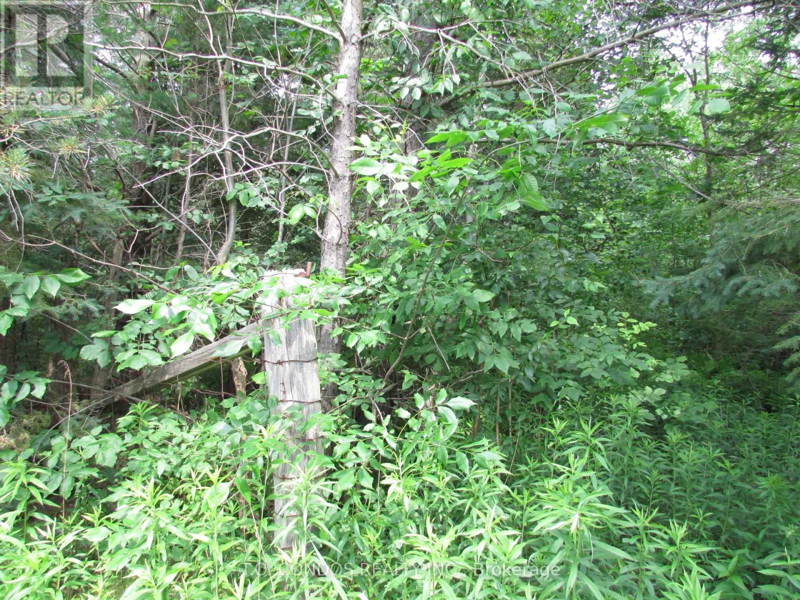 19633 48 Highway, East Gwillimbury, Ontario  L0G 1M0 - Photo 14 - N12018321