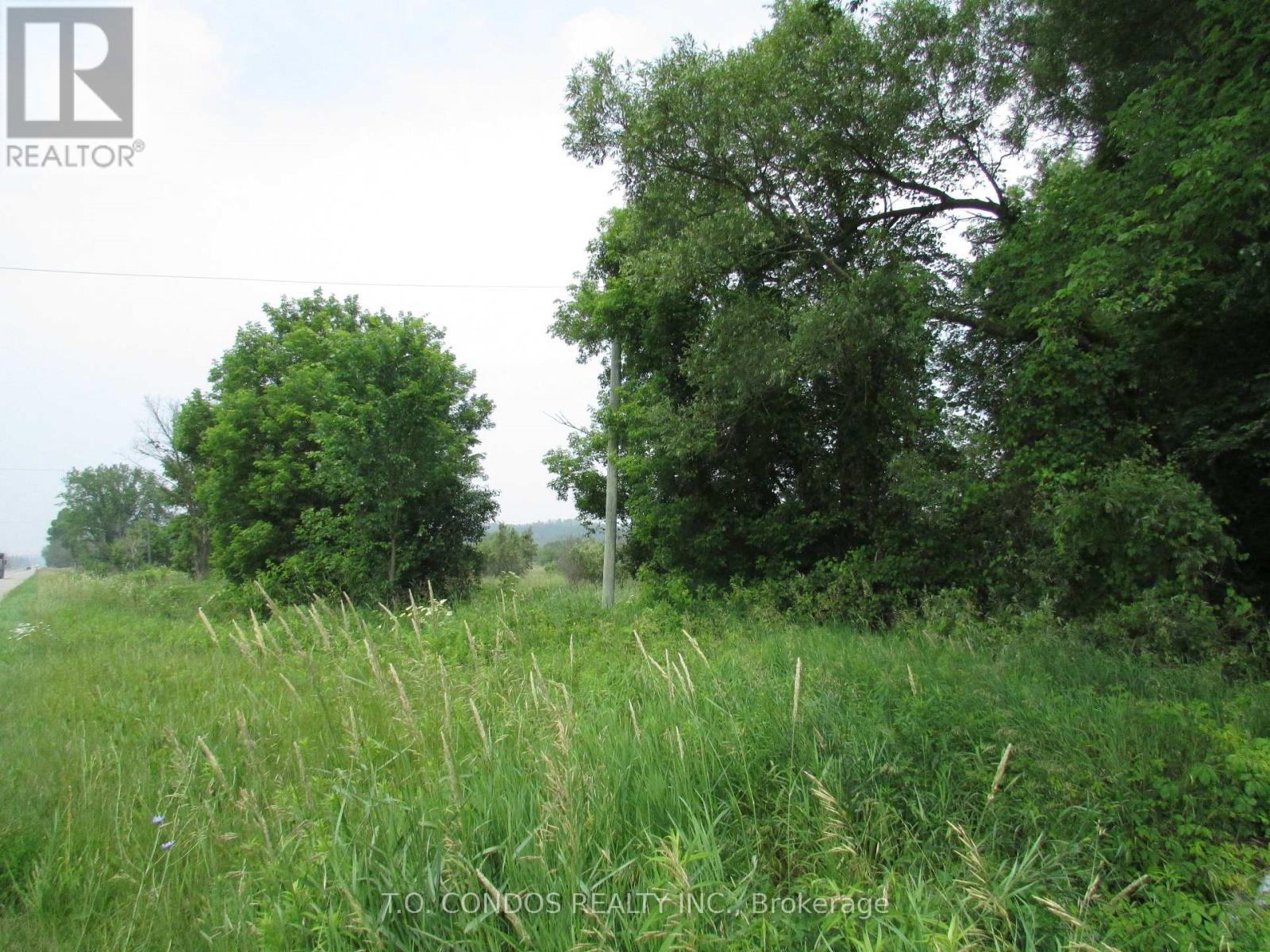 Property at 19633 48 HIGHWAY image 2