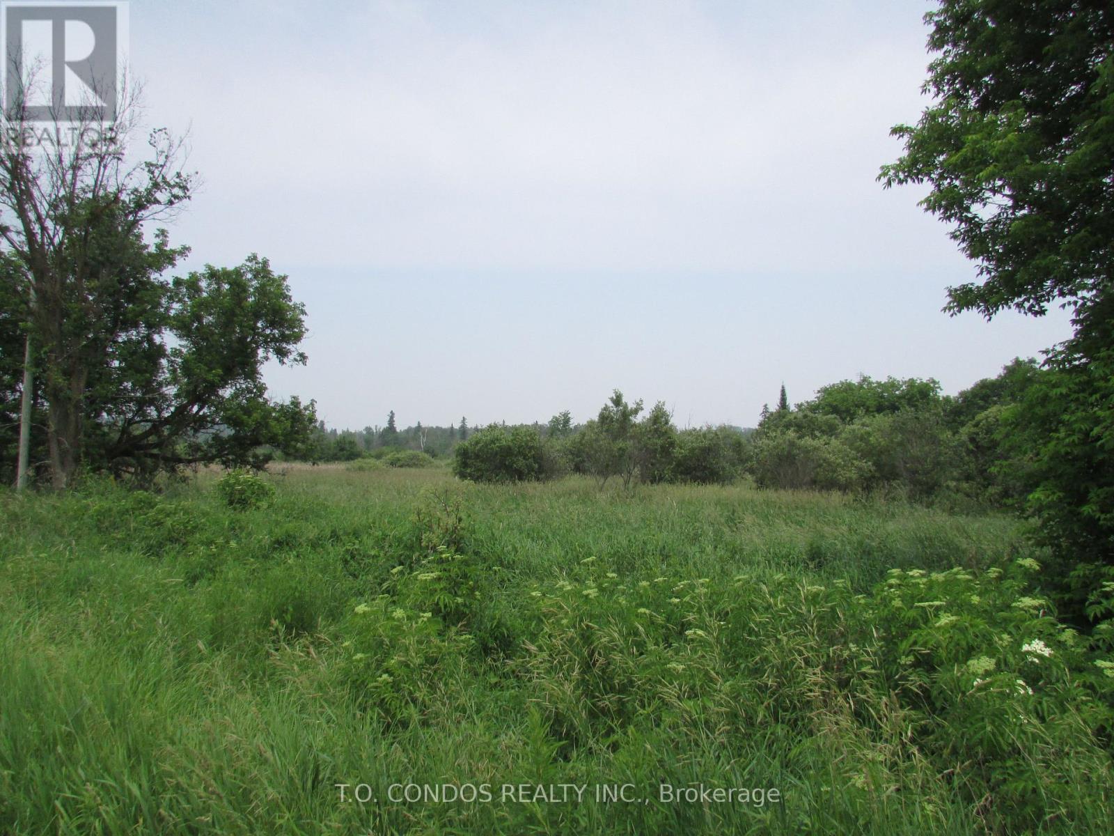 Property at 19633 48 HIGHWAY image 4