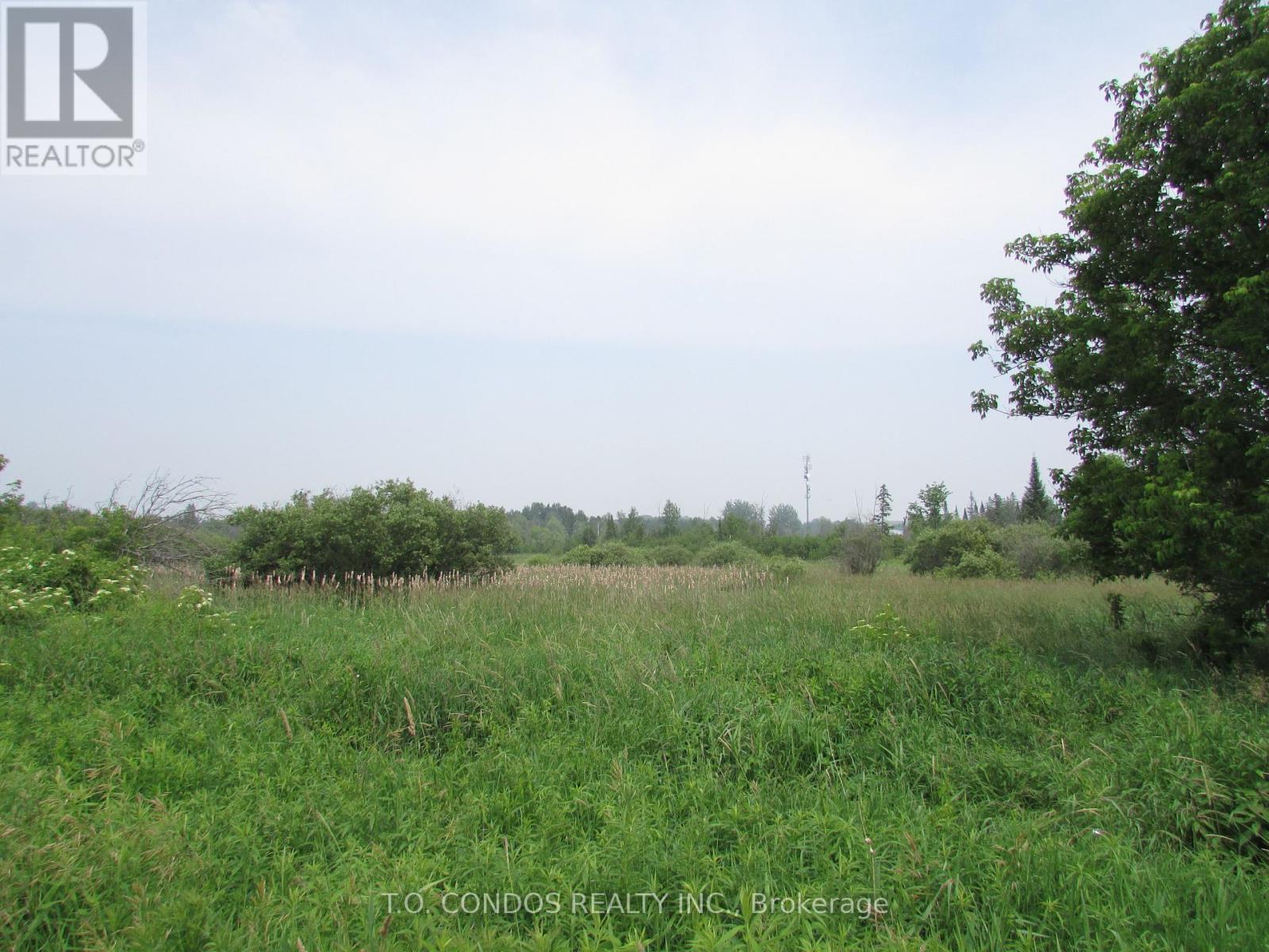 19633 48 Highway, East Gwillimbury, Ontario  L0G 1M0 - Photo 6 - N12018321