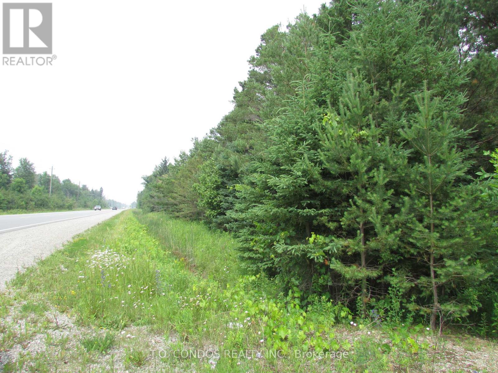 19633 48 Highway, East Gwillimbury, Ontario  L0G 1M0 - Photo 7 - N12018321
