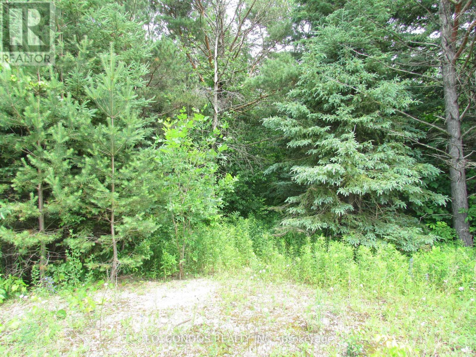 19633 48 Highway, East Gwillimbury, Ontario  L0G 1M0 - Photo 8 - N12018321