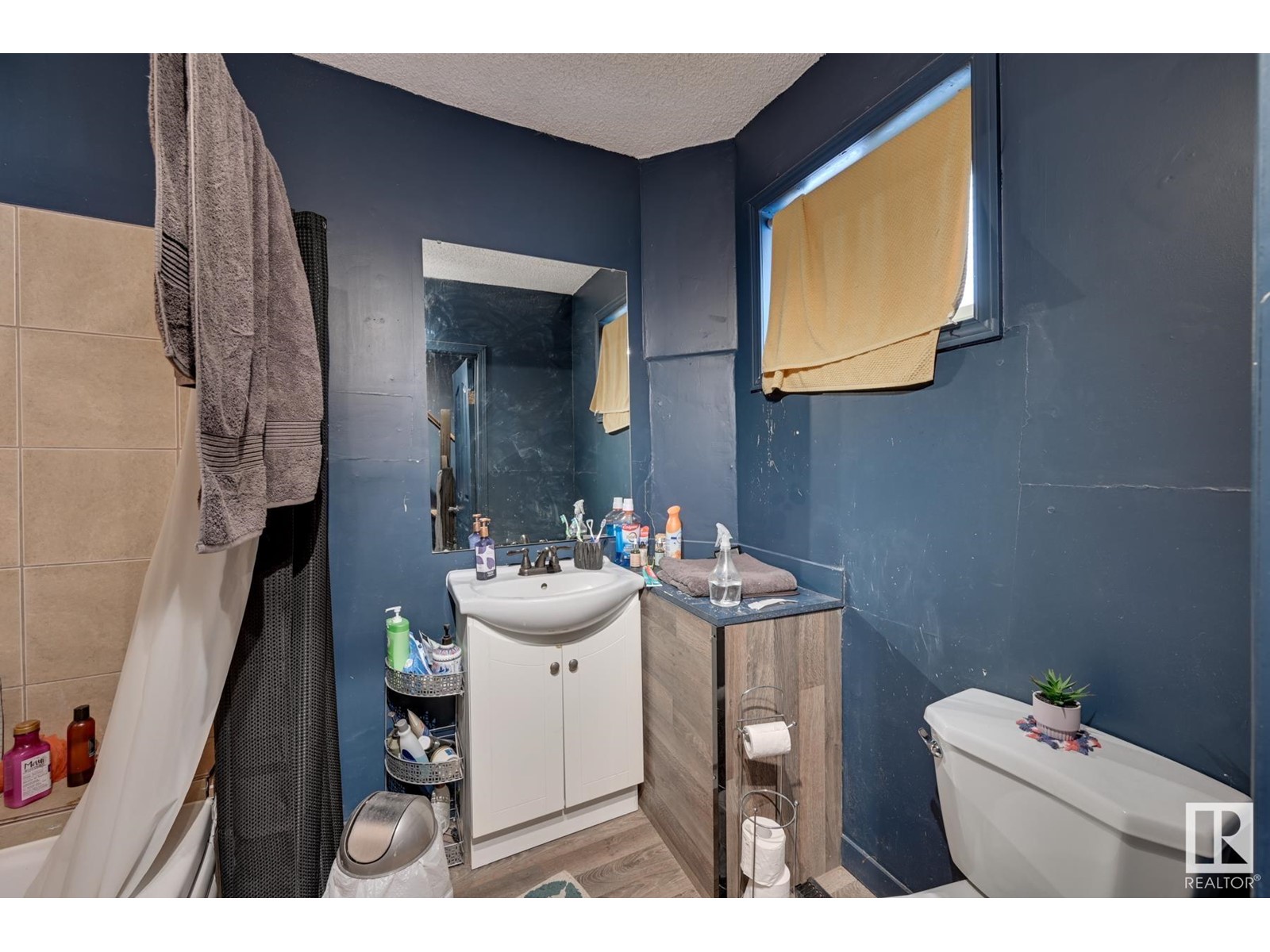 11911 77 St Nw, Edmonton, Alberta  T5B 2G5 - Photo 12 - E4425117