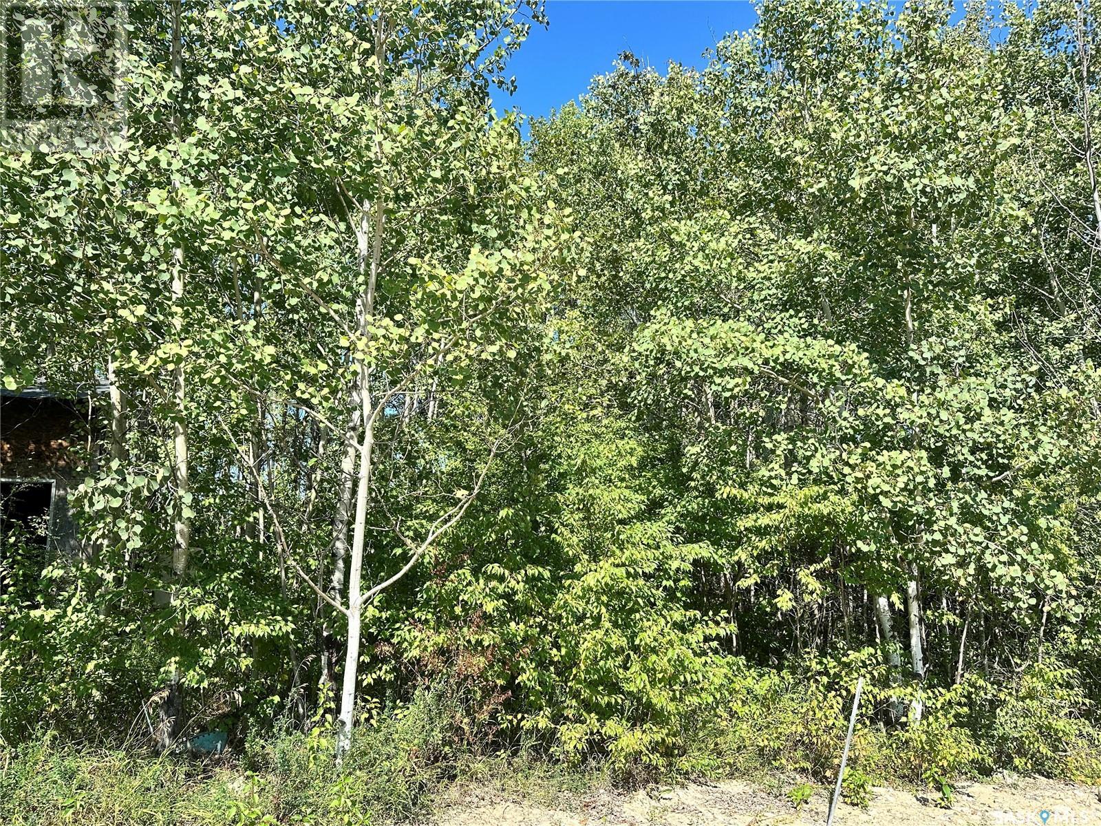 137 Parkview Road, Lucien Lake, Saskatchewan  S0K 2X0 - Photo 11 - SK998853