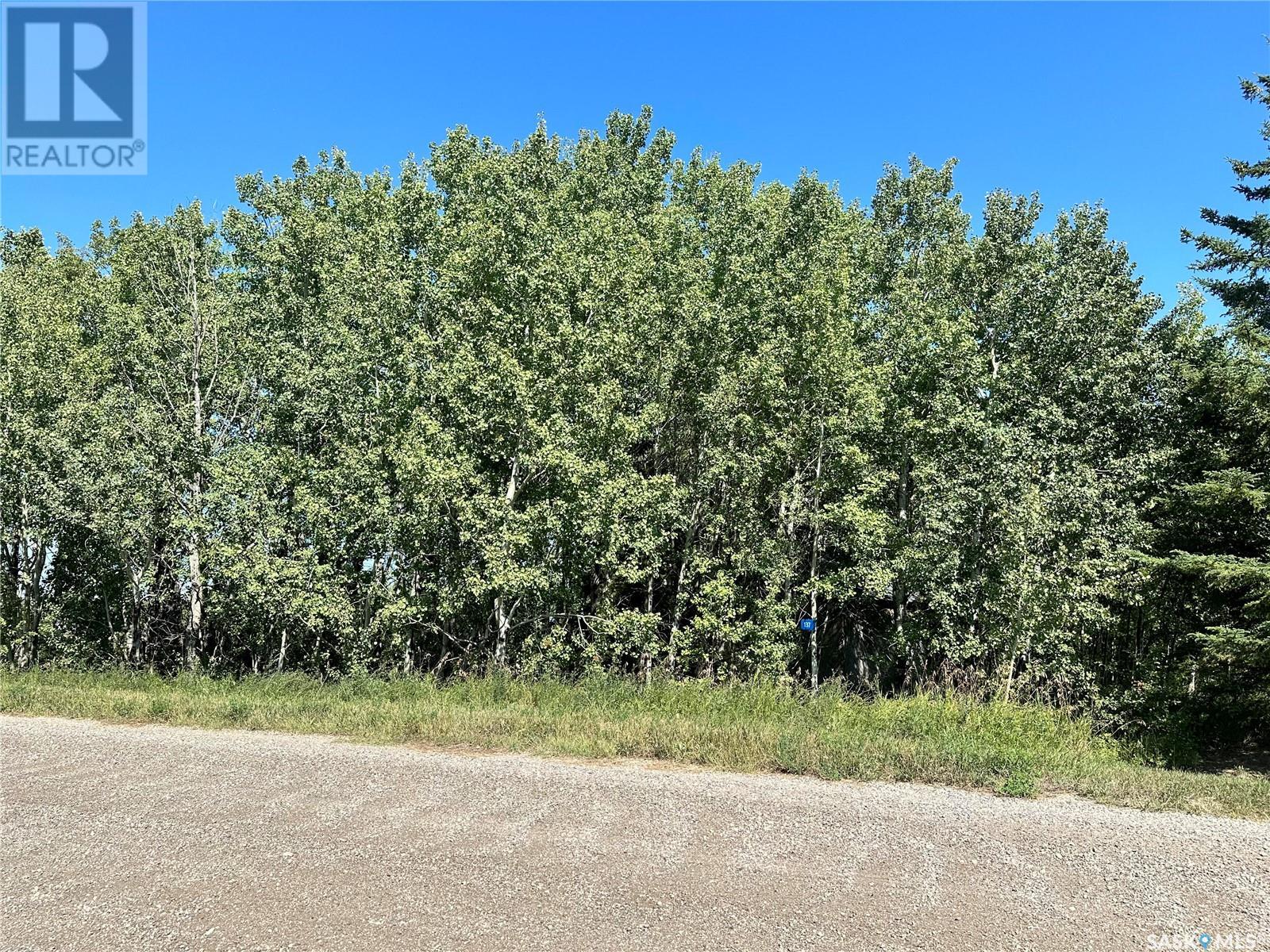 137 Parkview Road, Lucien Lake, Saskatchewan  S0K 2X0 - Photo 12 - SK998853