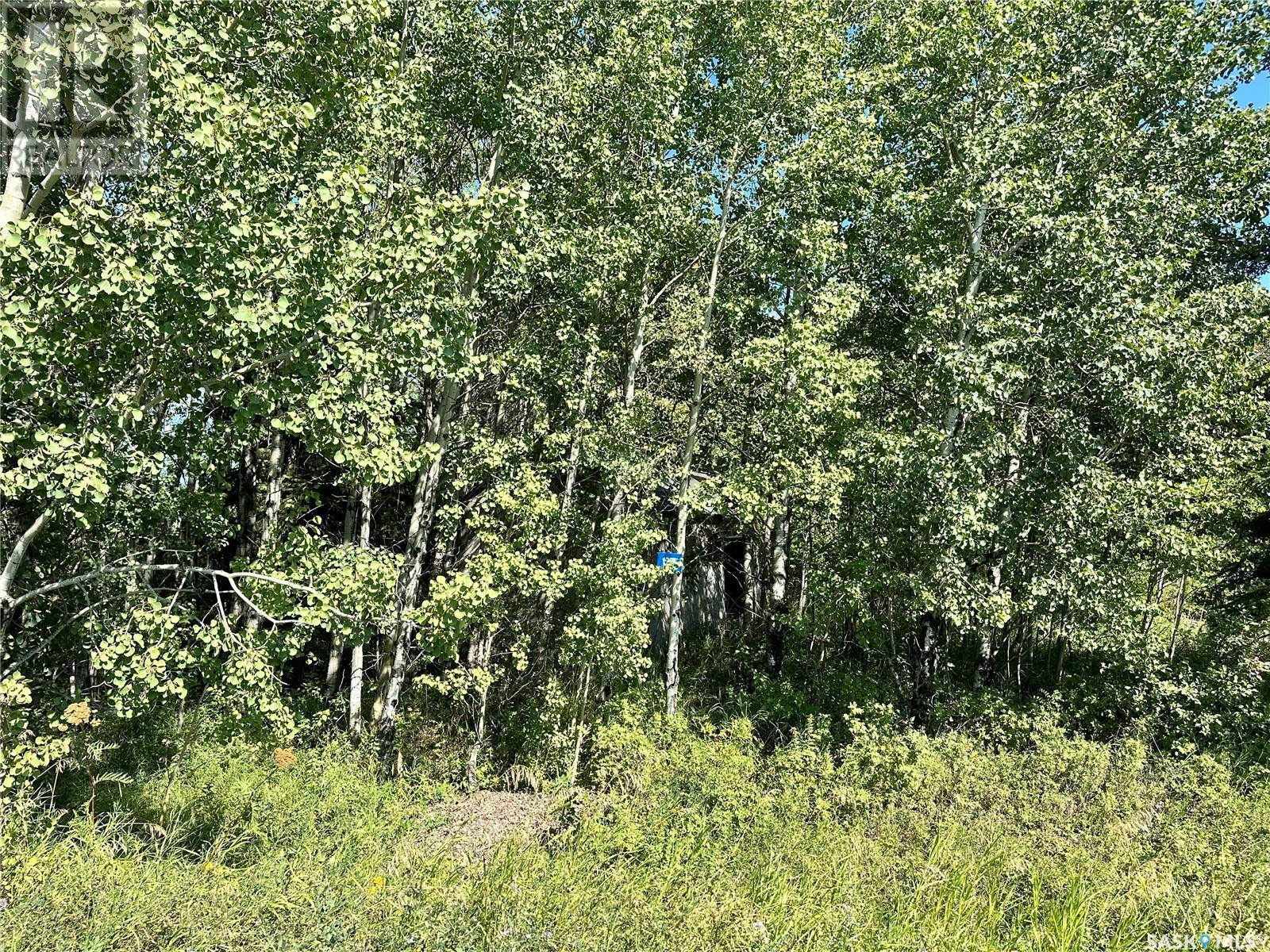 137 Parkview Road, Lucien Lake, Saskatchewan  S0K 2X0 - Photo 2 - SK998853