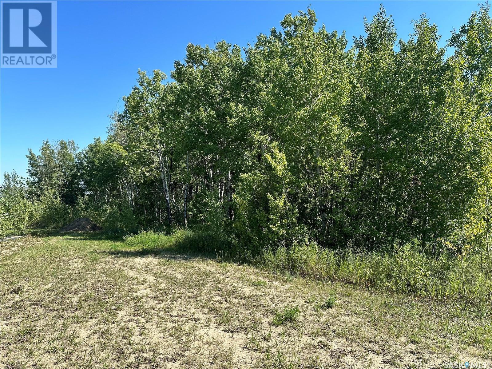 137 Parkview Road, Lucien Lake, Saskatchewan  S0K 2X0 - Photo 6 - SK998853