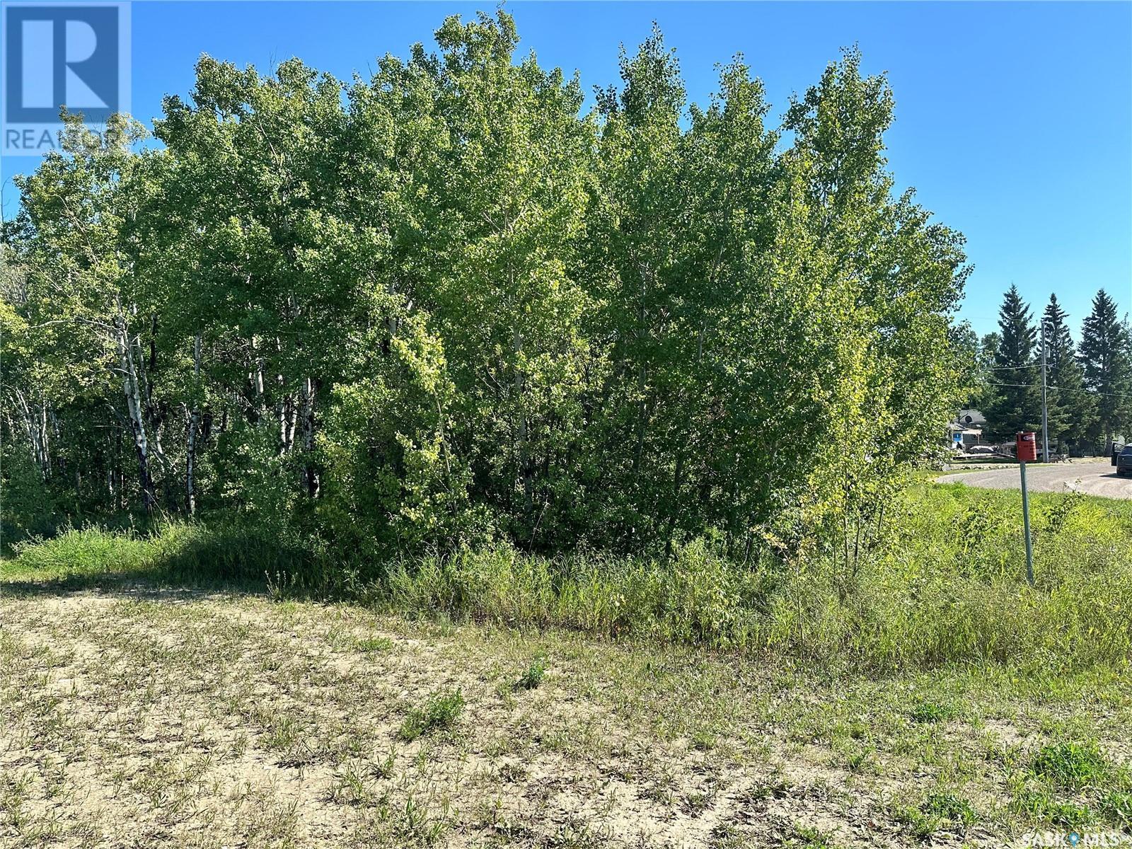 137 Parkview Road, Lucien Lake, Saskatchewan  S0K 2X0 - Photo 7 - SK998853