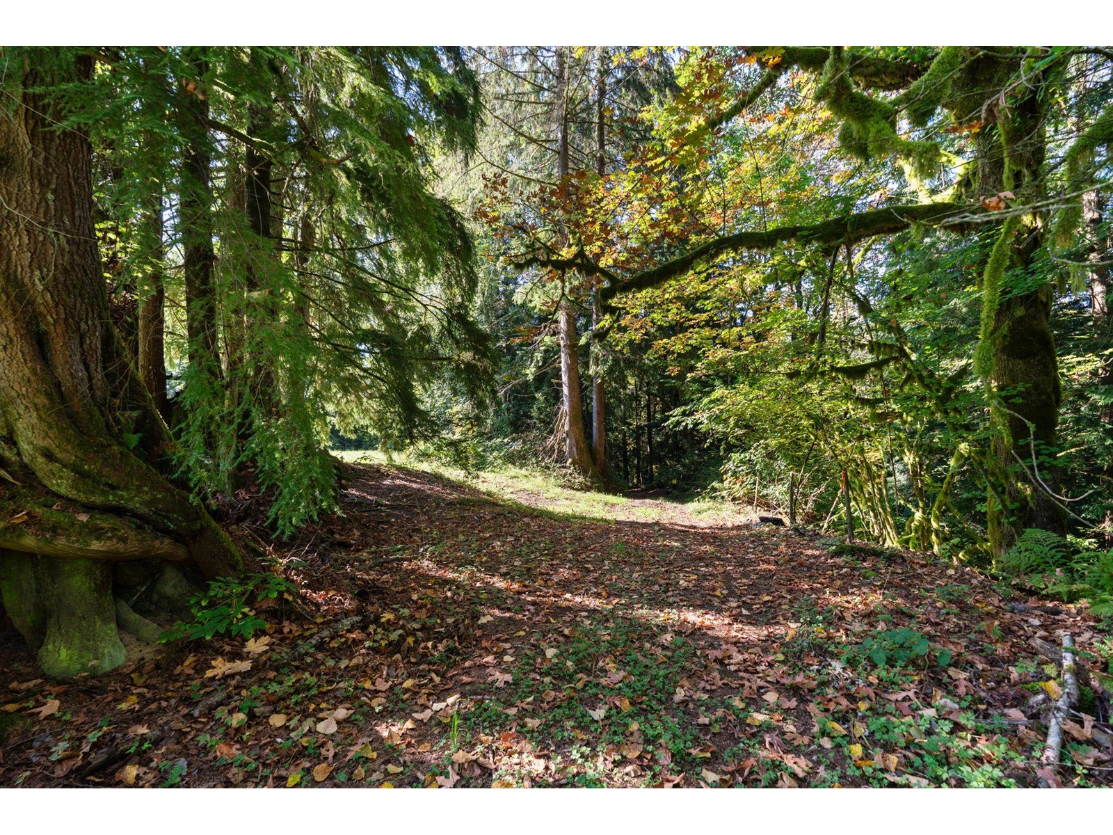 32275 Silver Creek Drive, Mission, British Columbia  V2V 0L7 - Photo 9 - R2975795