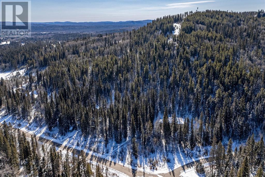 Mountain Lion Drive, Rural Rocky View County, Alberta  T0L 0K0 - Photo 13 - A2201630