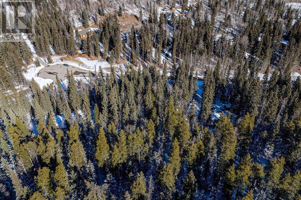 Mountain Lion Drive, Rural Rocky View County, Alberta  T0L 0K0 - Photo 16 - A2201630