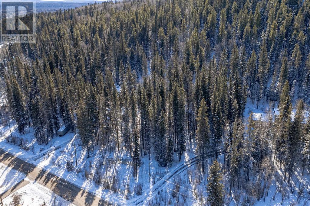 Mountain Lion Drive, Rural Rocky View County, Alberta  T0L 0K0 - Photo 8 - A2201630