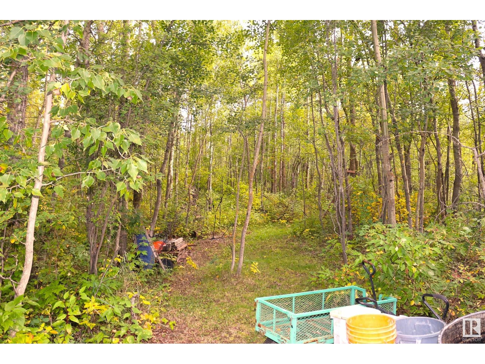 37 52471 Rge Rd 223, Rural Strathcona County, Alberta  T8A 4P9 - Photo 28 - E4425637