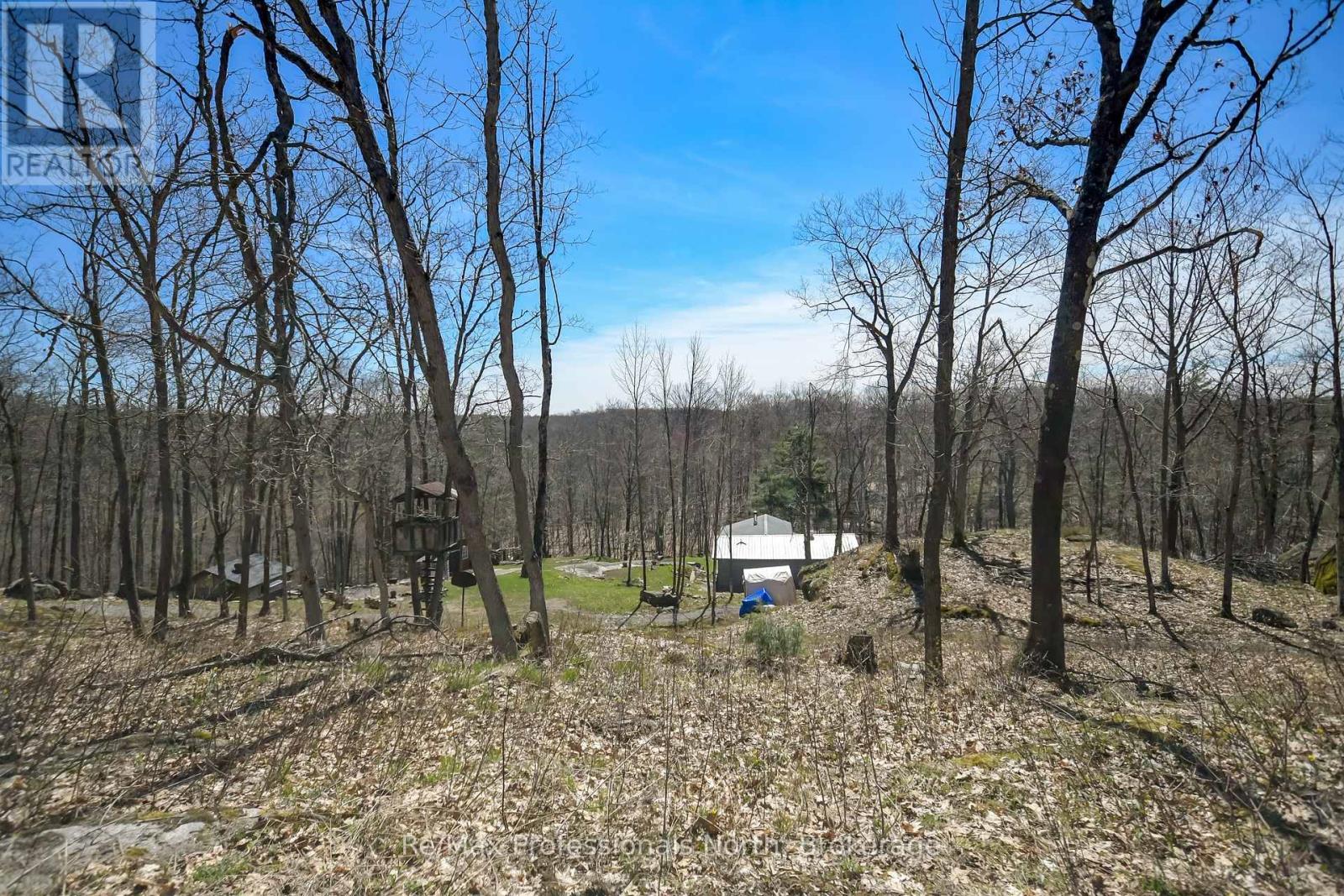 1017 Barlochan Road, Muskoka Lakes, Ontario  P1P 1R2 - Photo 41 - X12018767