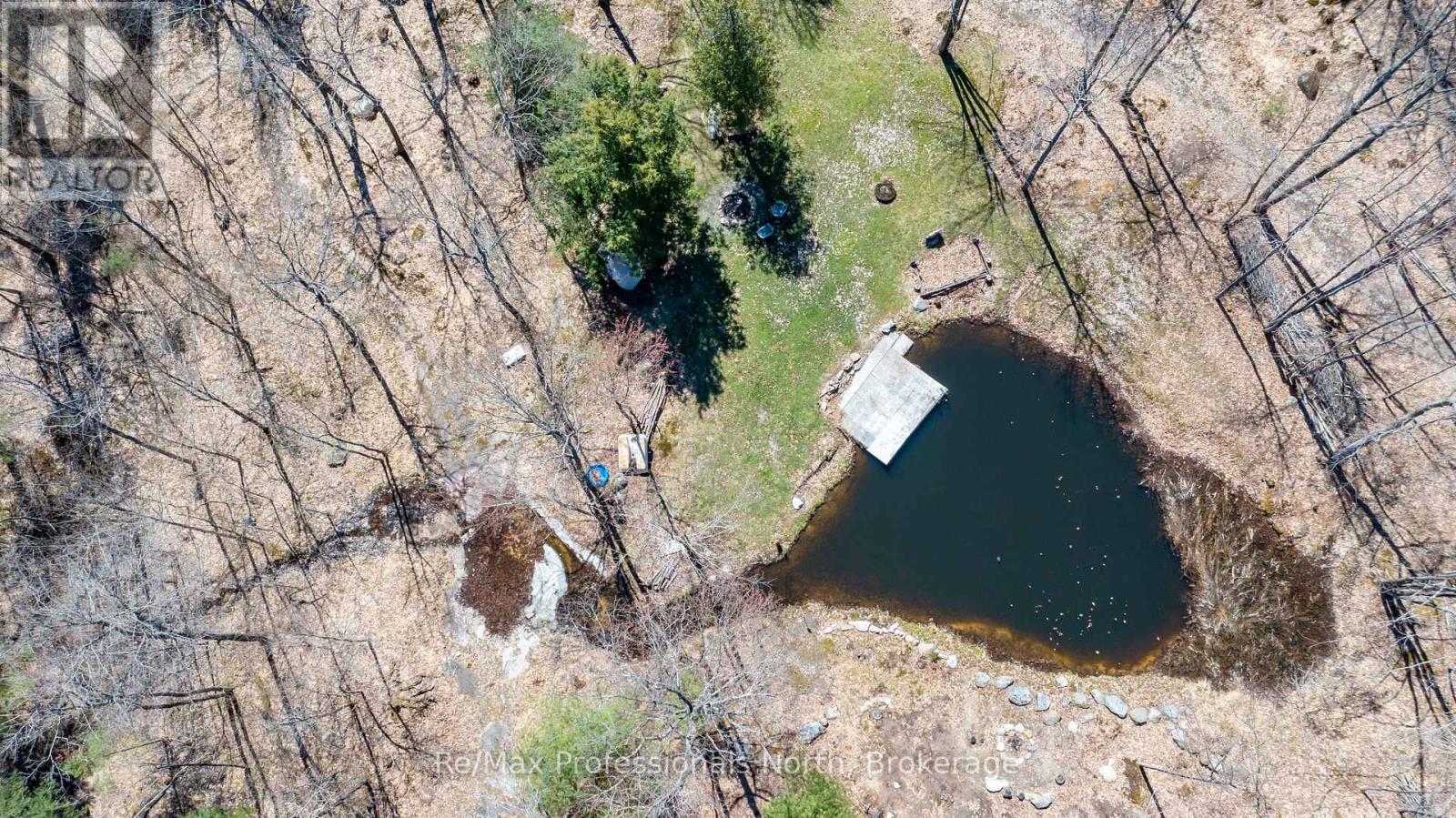 1017 Barlochan Road, Muskoka Lakes, Ontario  P1P 1R2 - Photo 43 - X12018767