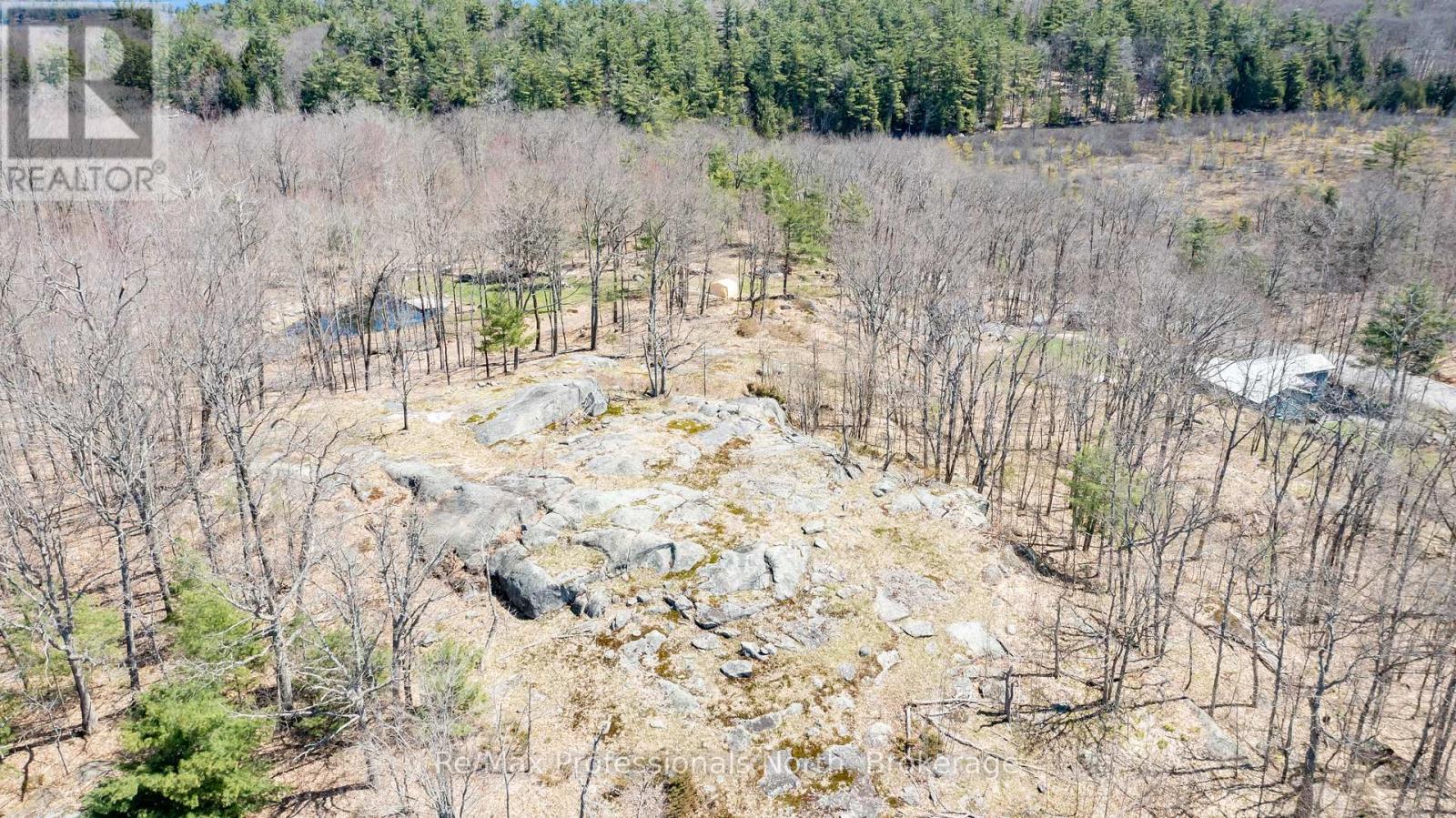 1017 Barlochan Road, Muskoka Lakes, Ontario  P1P 1R2 - Photo 48 - X12018767