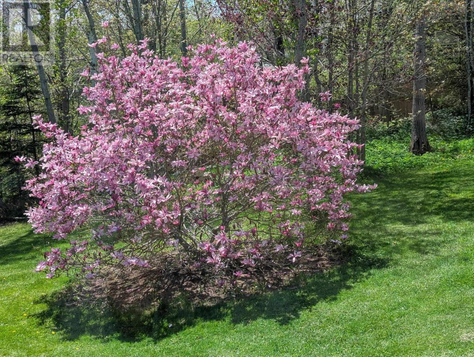 1305 Fall River Road, Fall River, Nova Scotia  B2T 1E6 - Photo 49 - 202504862