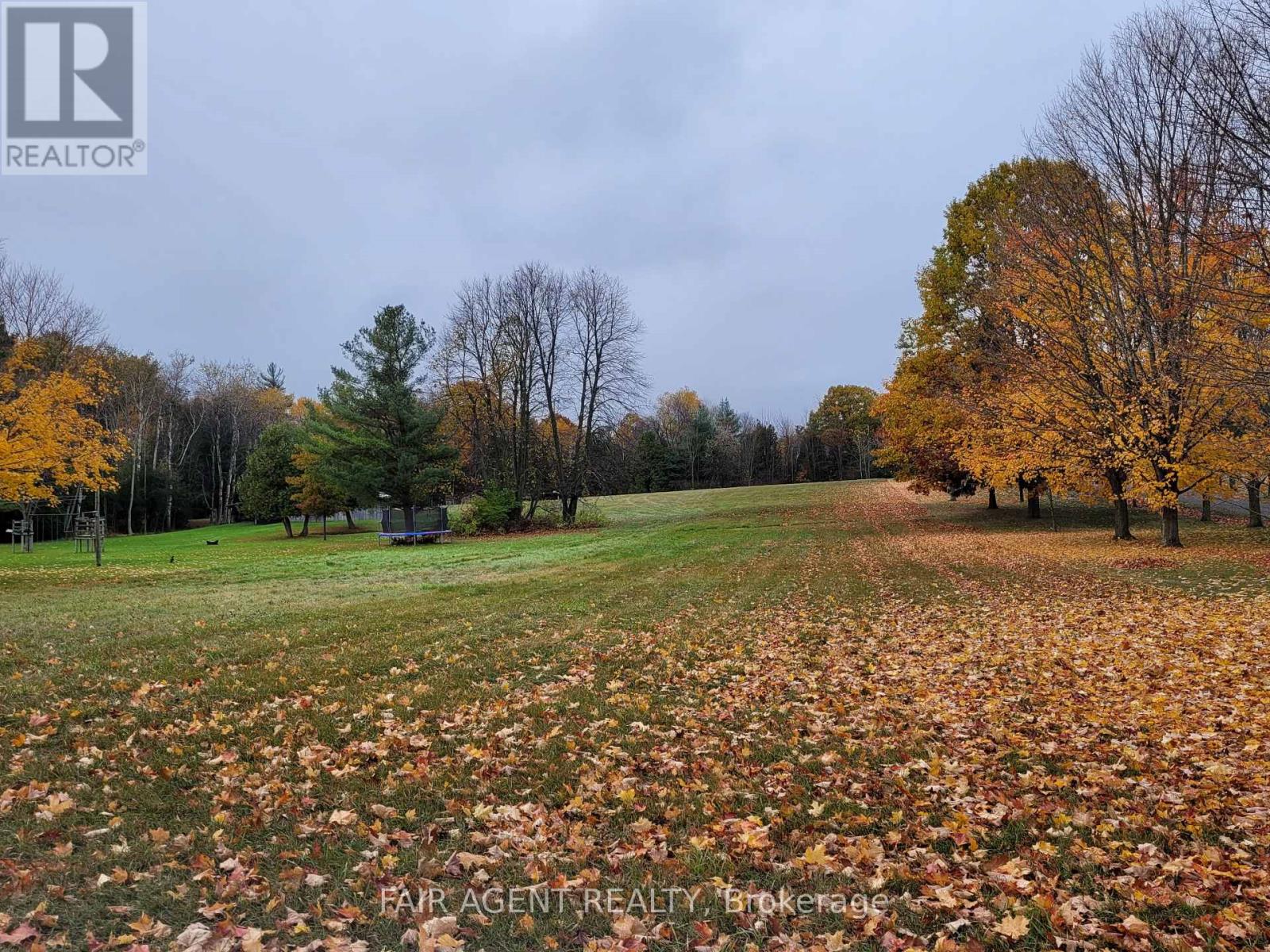 Lt8p444 Clitheroe Road, Alnwick/haldimand, Ontario  K0K 2G0 - Photo 10 - X12018941