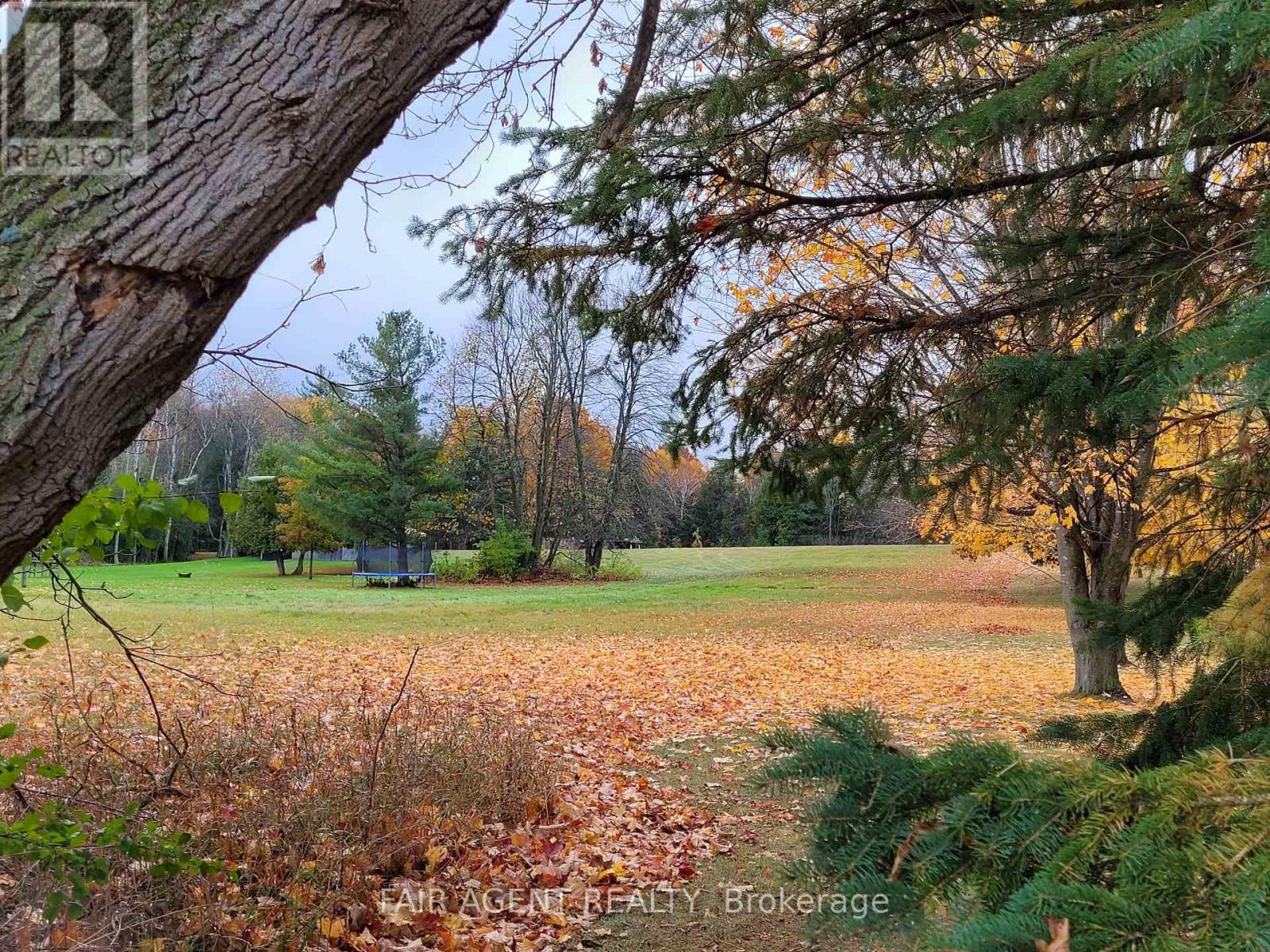 Lt8p444 Clitheroe Road, Alnwick/haldimand, Ontario  K0K 2G0 - Photo 15 - X12018941