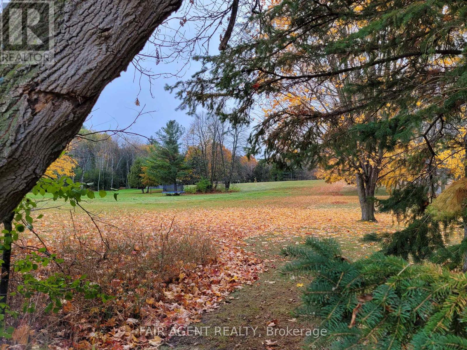 Lt8p444 Clitheroe Road, Alnwick/haldimand, Ontario  K0K 2G0 - Photo 18 - X12018941