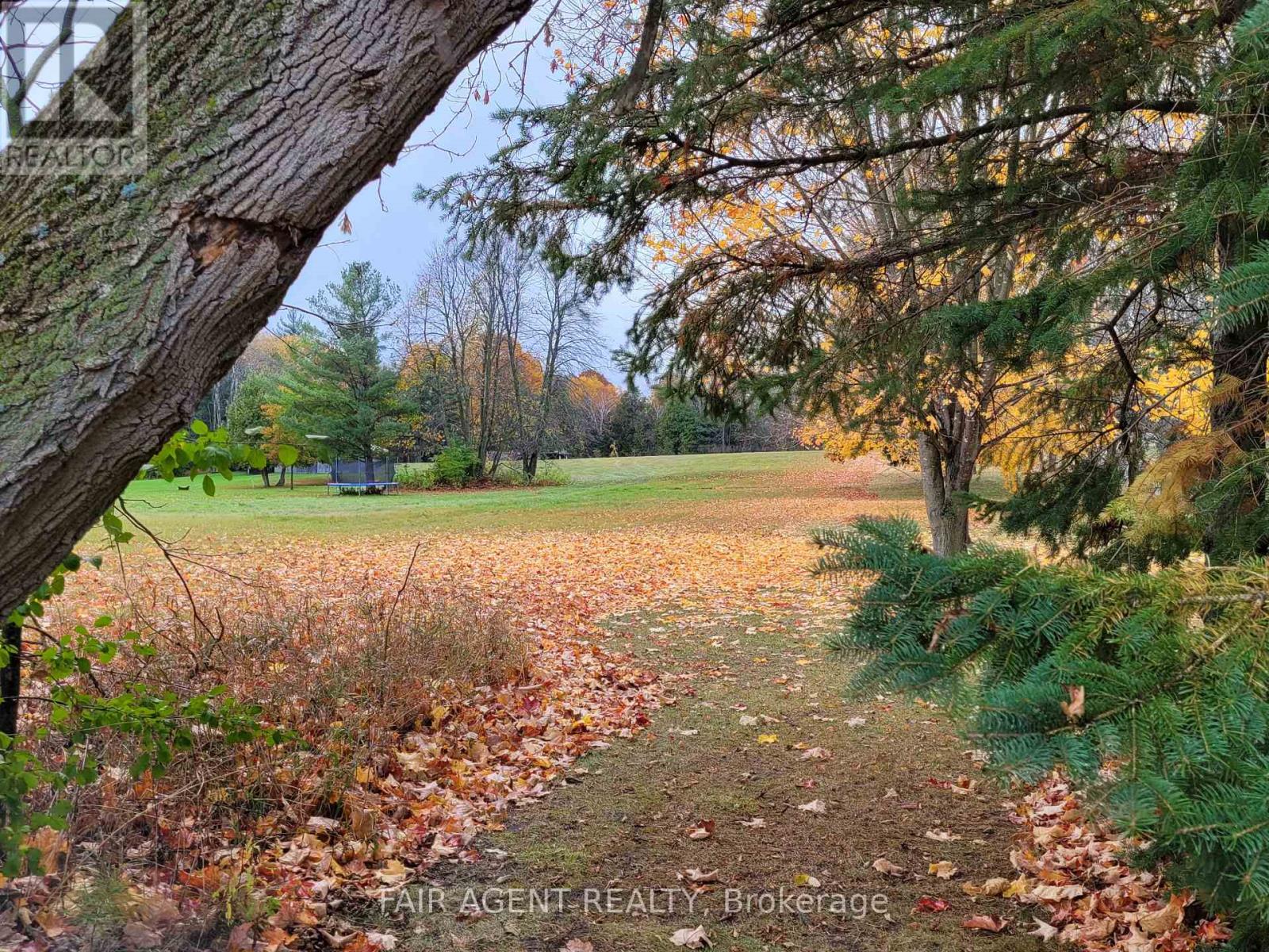 Lt8p444 Clitheroe Road, Alnwick/haldimand, Ontario  K0K 2G0 - Photo 21 - X12018941