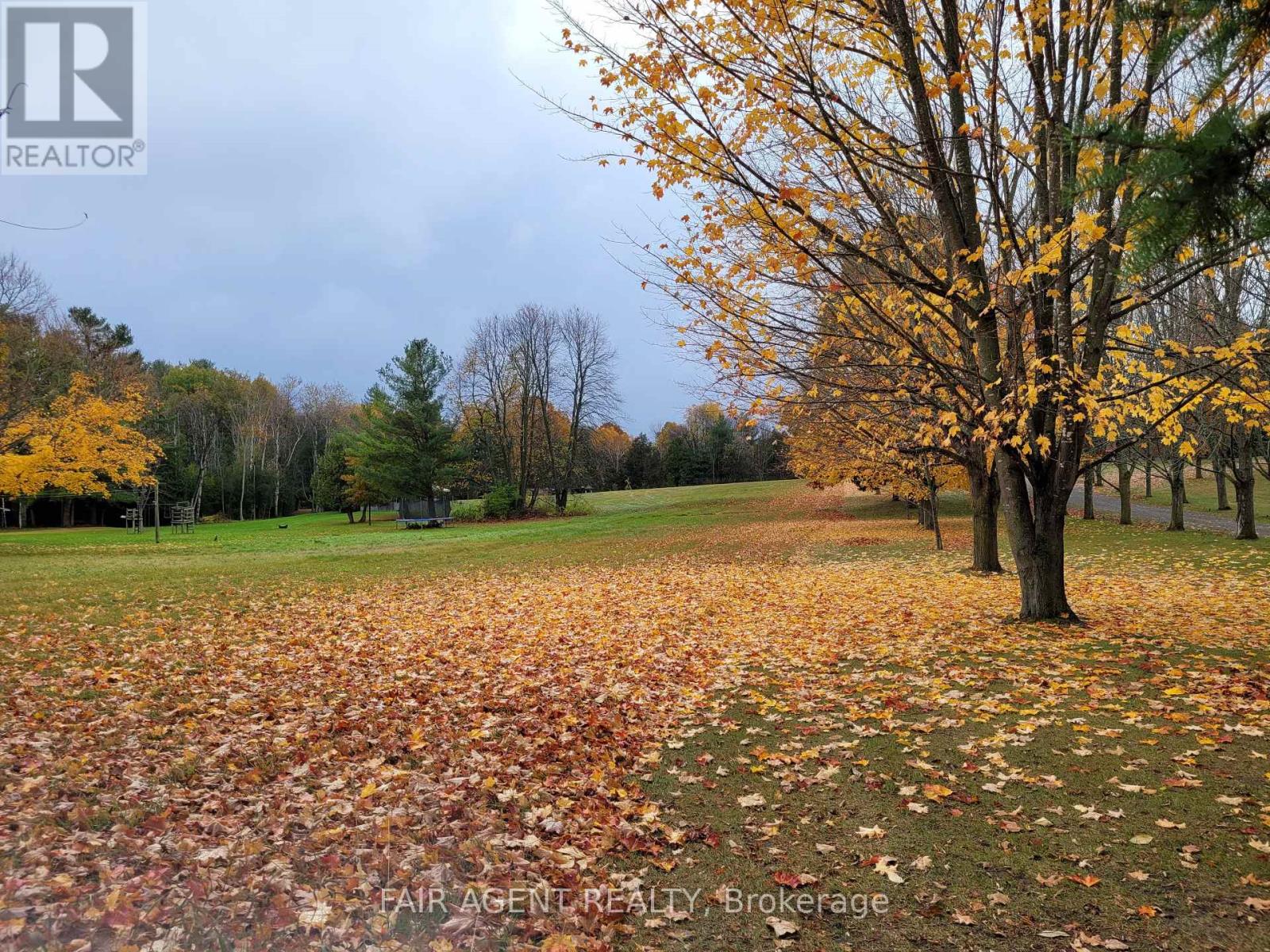 Lt8p444 Clitheroe Road, Alnwick/haldimand, Ontario  K0K 2G0 - Photo 3 - X12018941