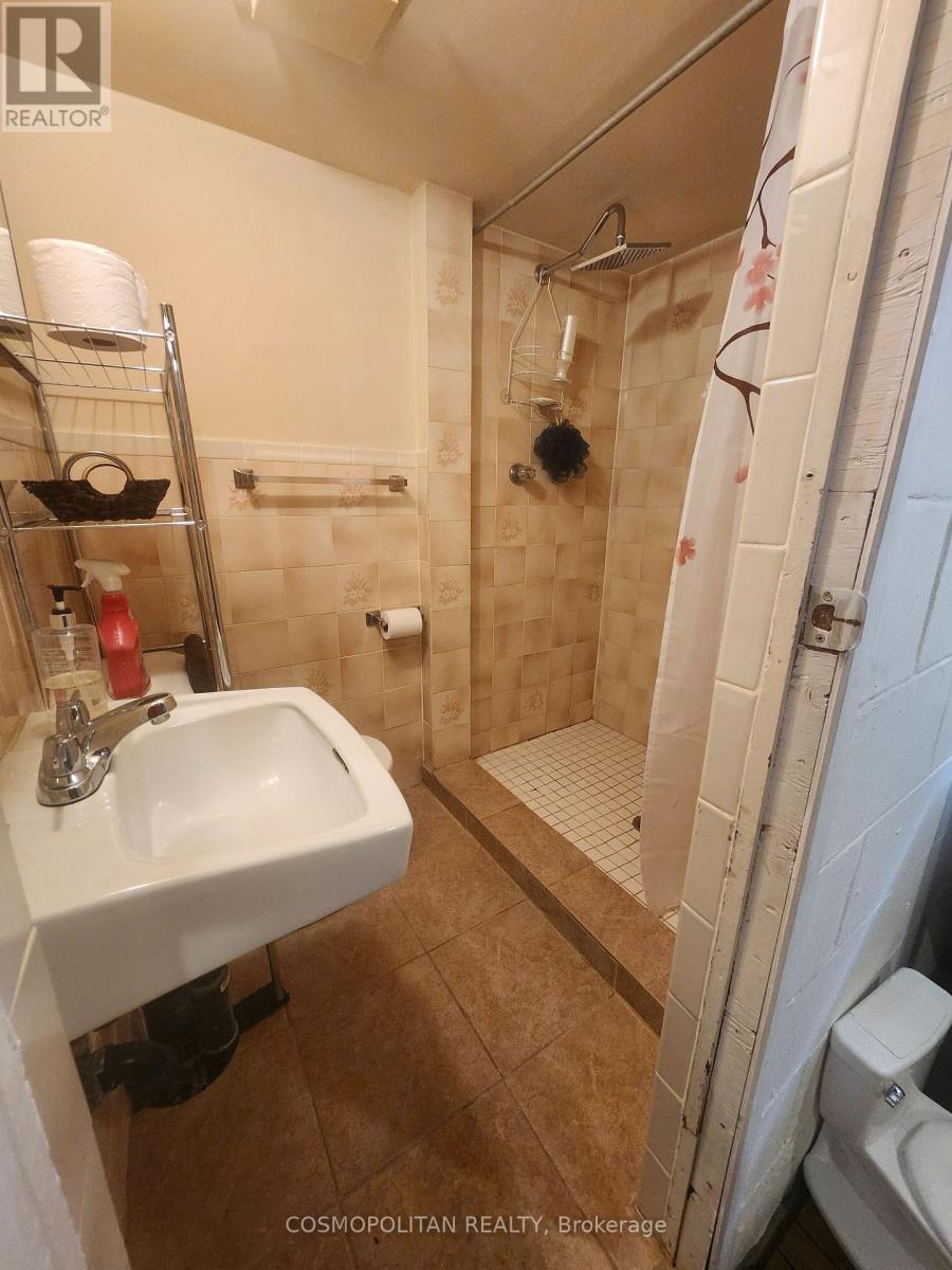 257 Grantham Avenue, St. Catharines (Facer), Ontario  L2M 4Z6 - Photo 22 - X12019009