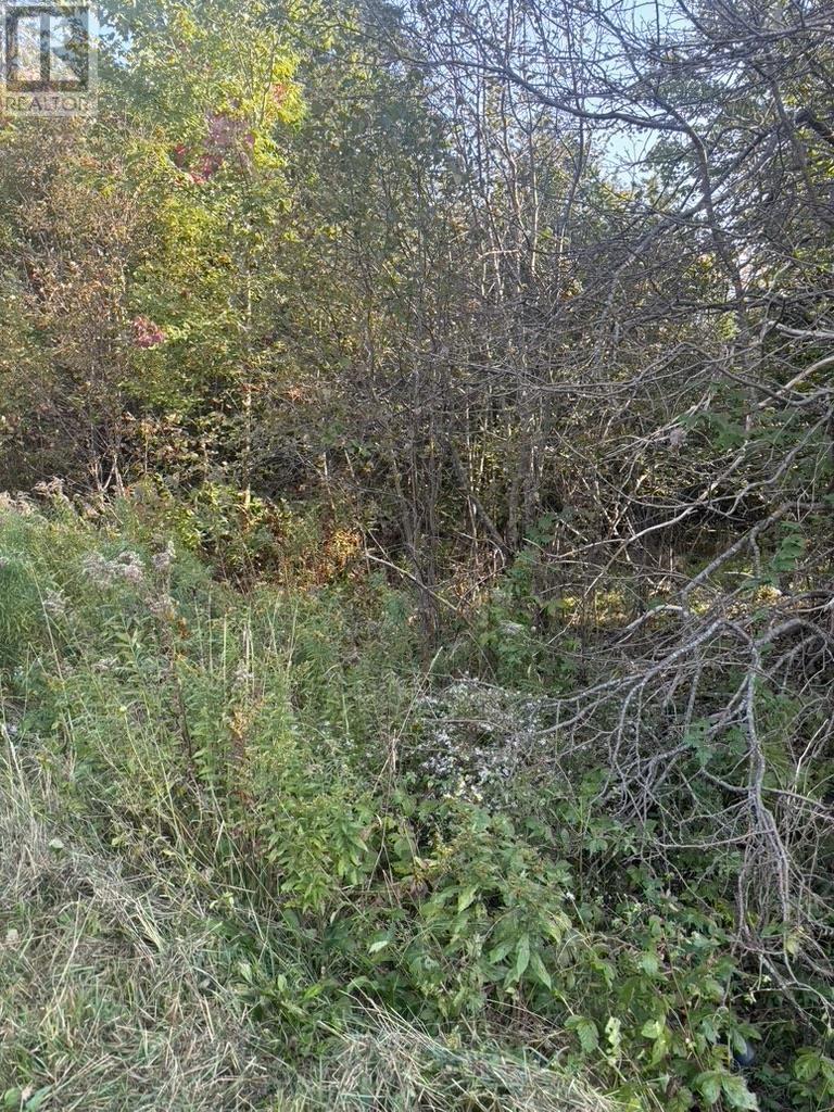 Property at East Petpeswick Road image 2