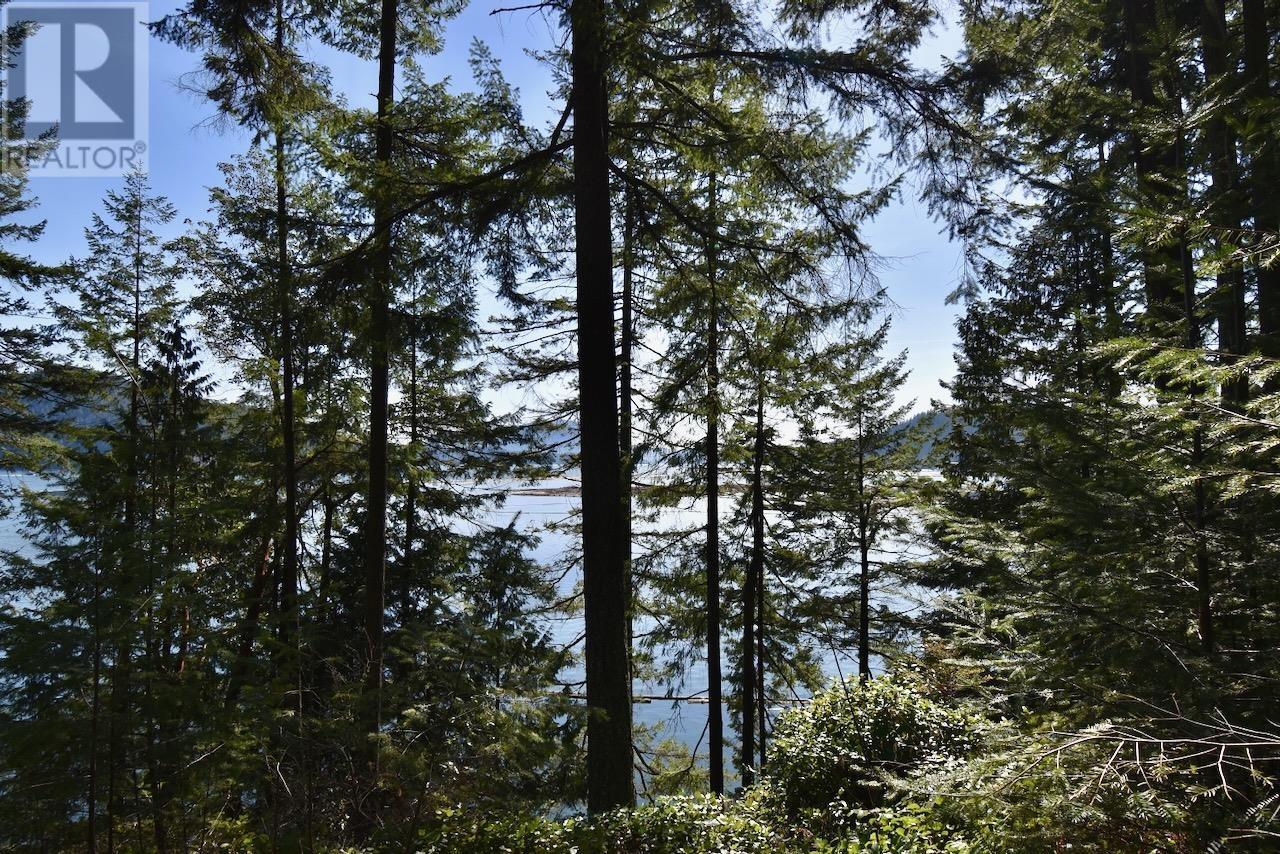 37 Lots Witherby Beach Road, Gibsons, British Columbia  V0N 1V0 - Photo 13 - R2977848