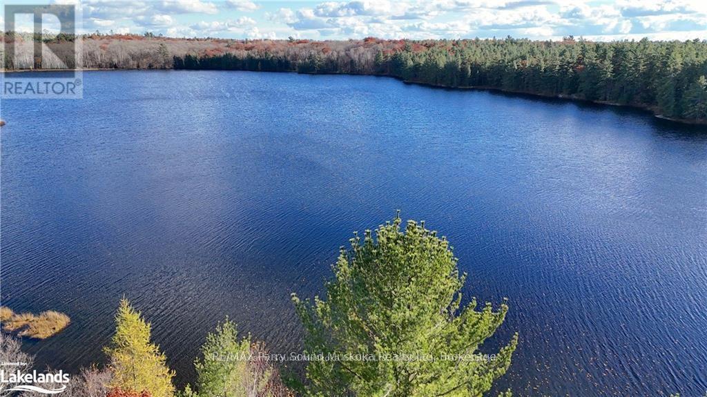 27 Storm Lake Road, Seguin, Ontario  P2A 0B6 - Photo 12 - X12019480
