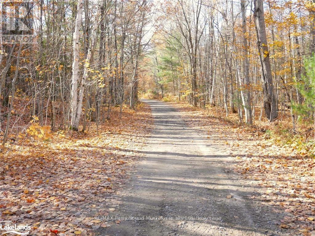27 Storm Lake Road, Seguin, Ontario  P2A 0B6 - Photo 40 - X12019480