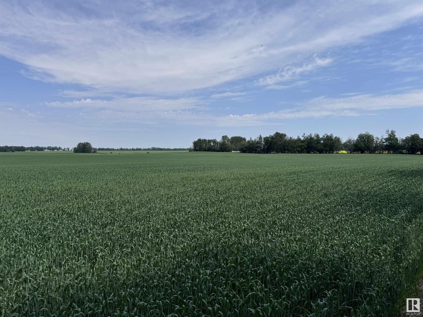 Twp Rd 641 Rge Rd 272, Rural Westlock County, Alberta  T0G 1H0 - Photo 1 - E4425704