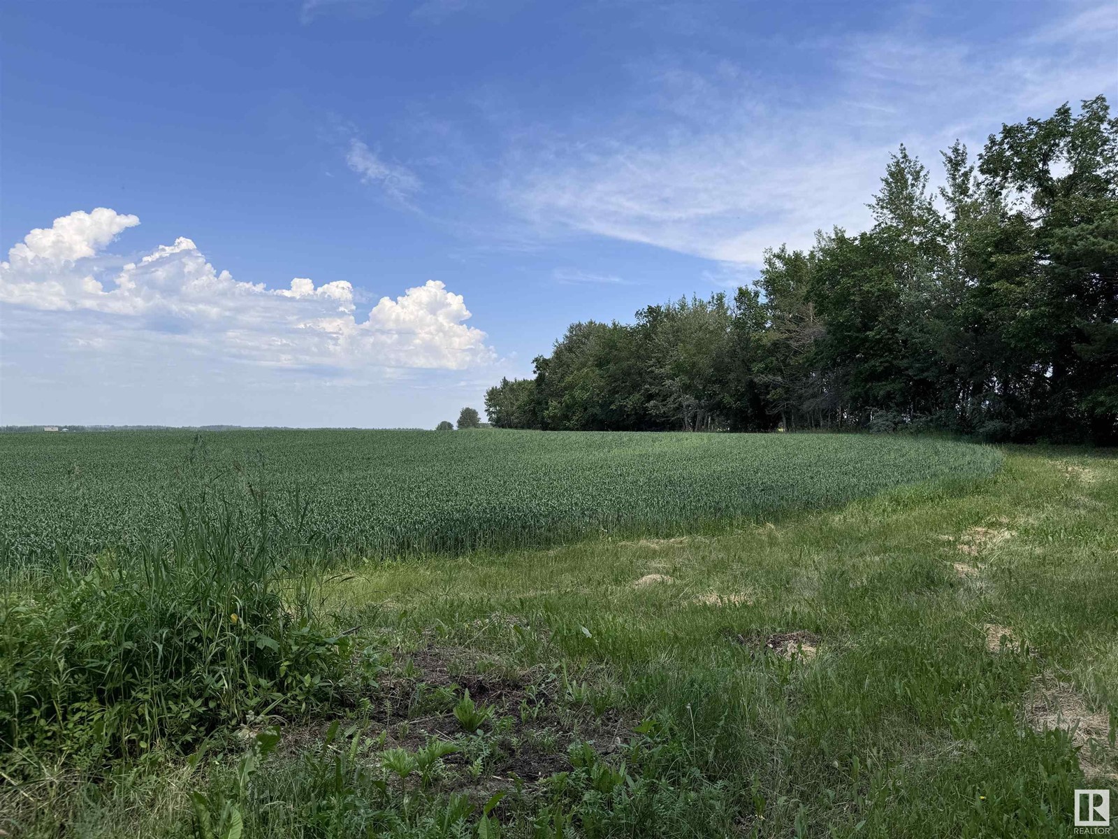 Twp Rd 641 Rge Rd 272, Rural Westlock County, Alberta  T0G 1H0 - Photo 29 - E4425704