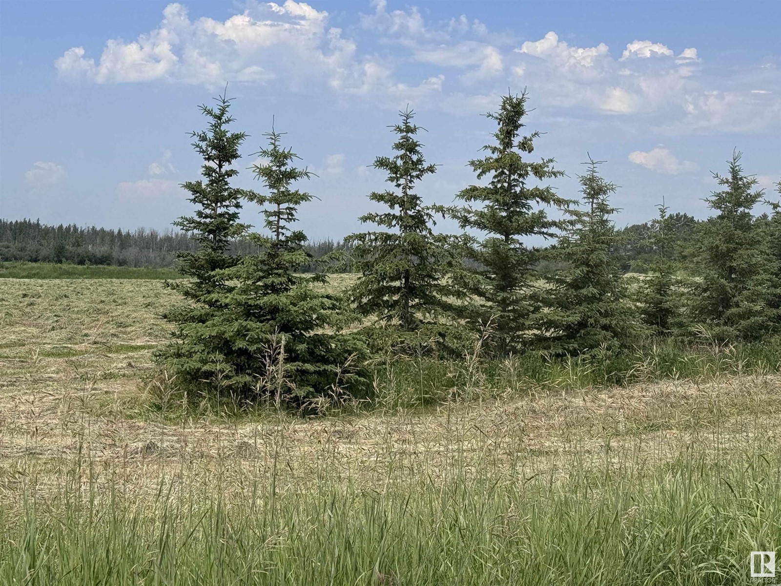 Twp Rd 641 Rge Rd 272, Rural Westlock County, Alberta  T0G 1H0 - Photo 6 - E4425704