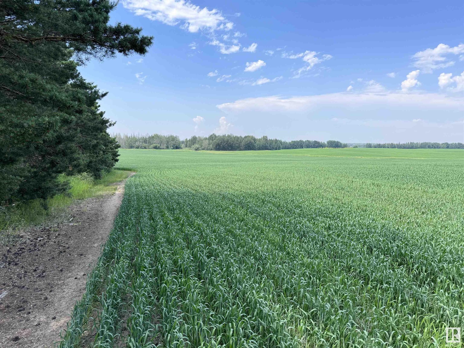 Twp Rd 641 Rge Rd 272, Rural Westlock County, Alberta  T0G 1H0 - Photo 27 - E4425704