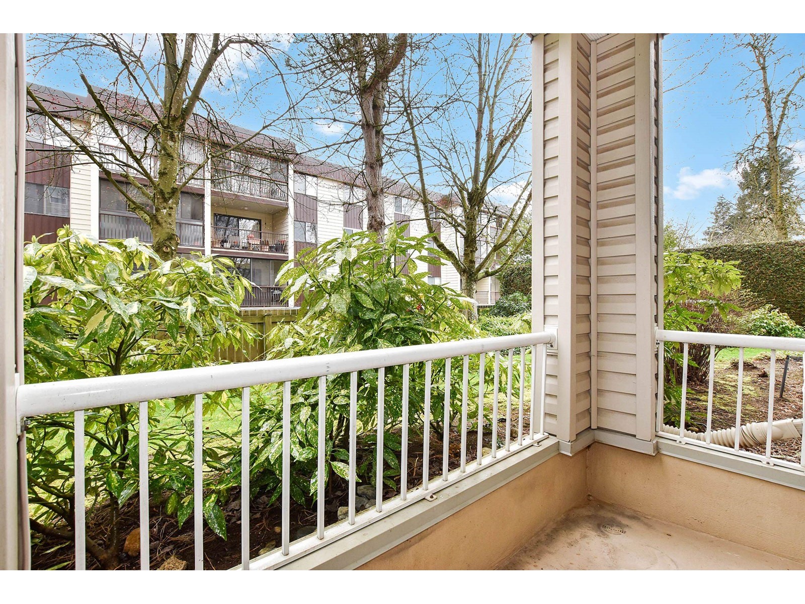 101 32120 Mt Waddington Avenue, Abbotsford, British Columbia  V2T 2E8 - Photo 13 - R2977410