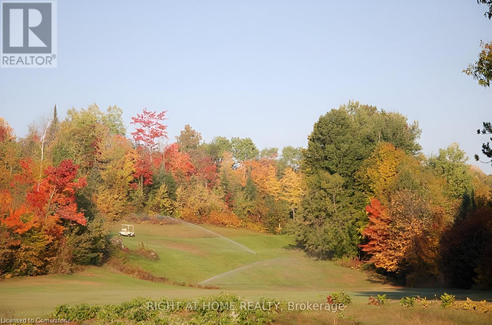 2937 Old Barrys Bay Road, Madawaska Valley, Ontario  K0J 1B0 - Photo 22 - X12019509
