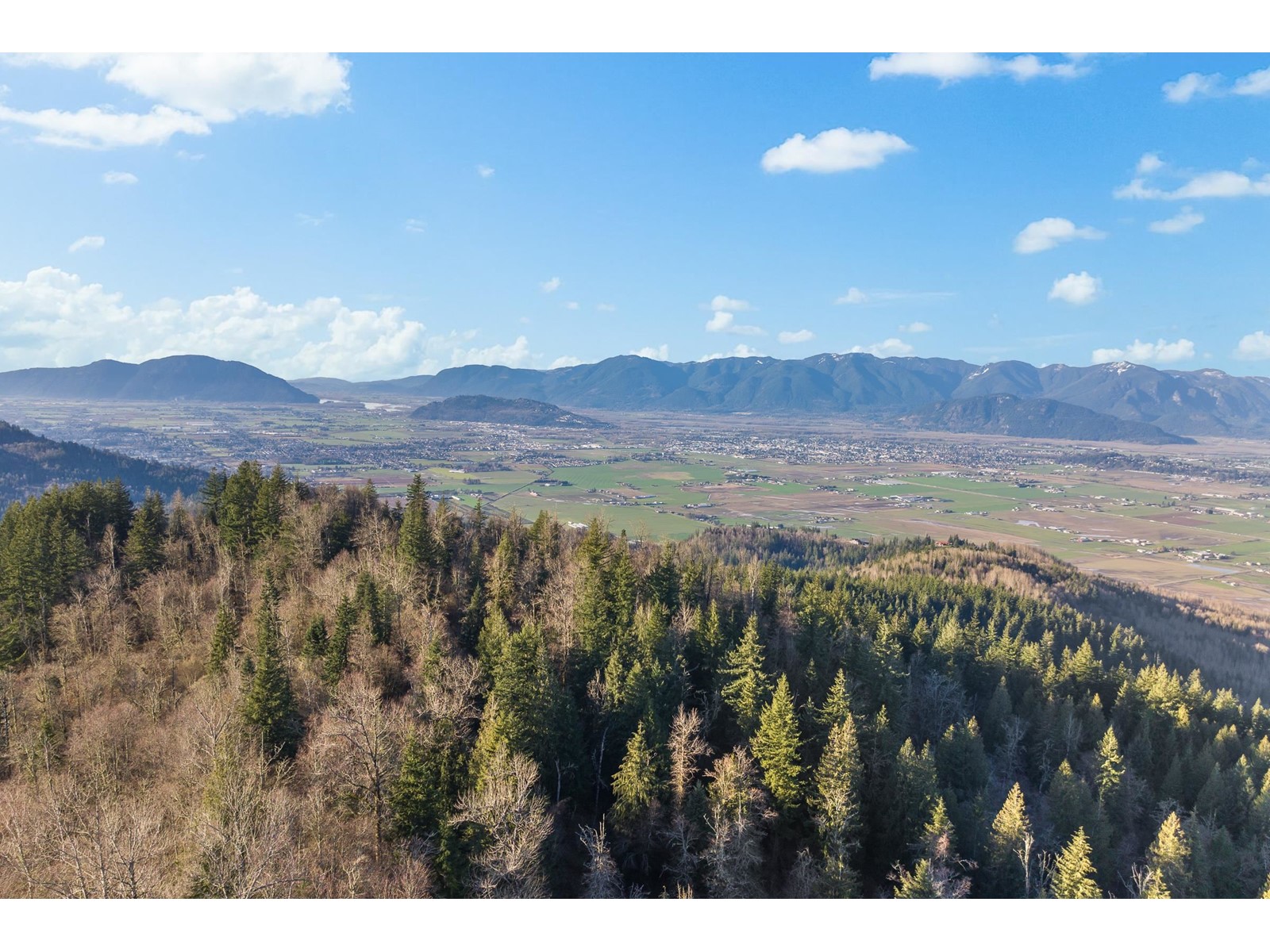 Property at 49780 LOOKOUT ROAD image 1