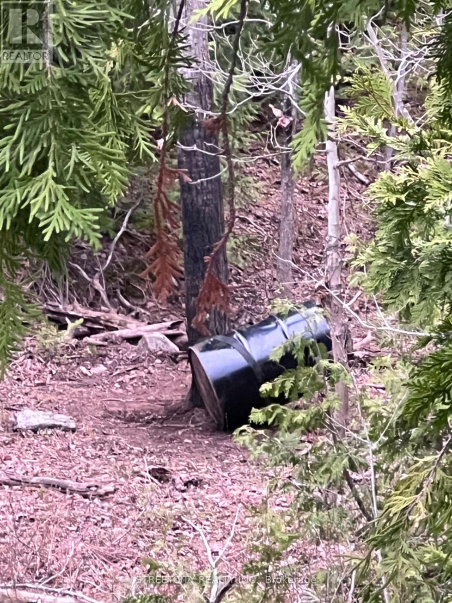 0 Path, Northern Bruce Peninsula, Ontario  N0H 1W0 - Photo 5 - X12019662