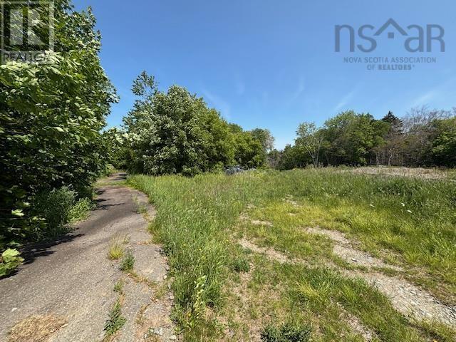 Weymouth Falls Road, Weymouth Falls, Nova Scotia  B0W 3T0 - Photo 14 - 202504911