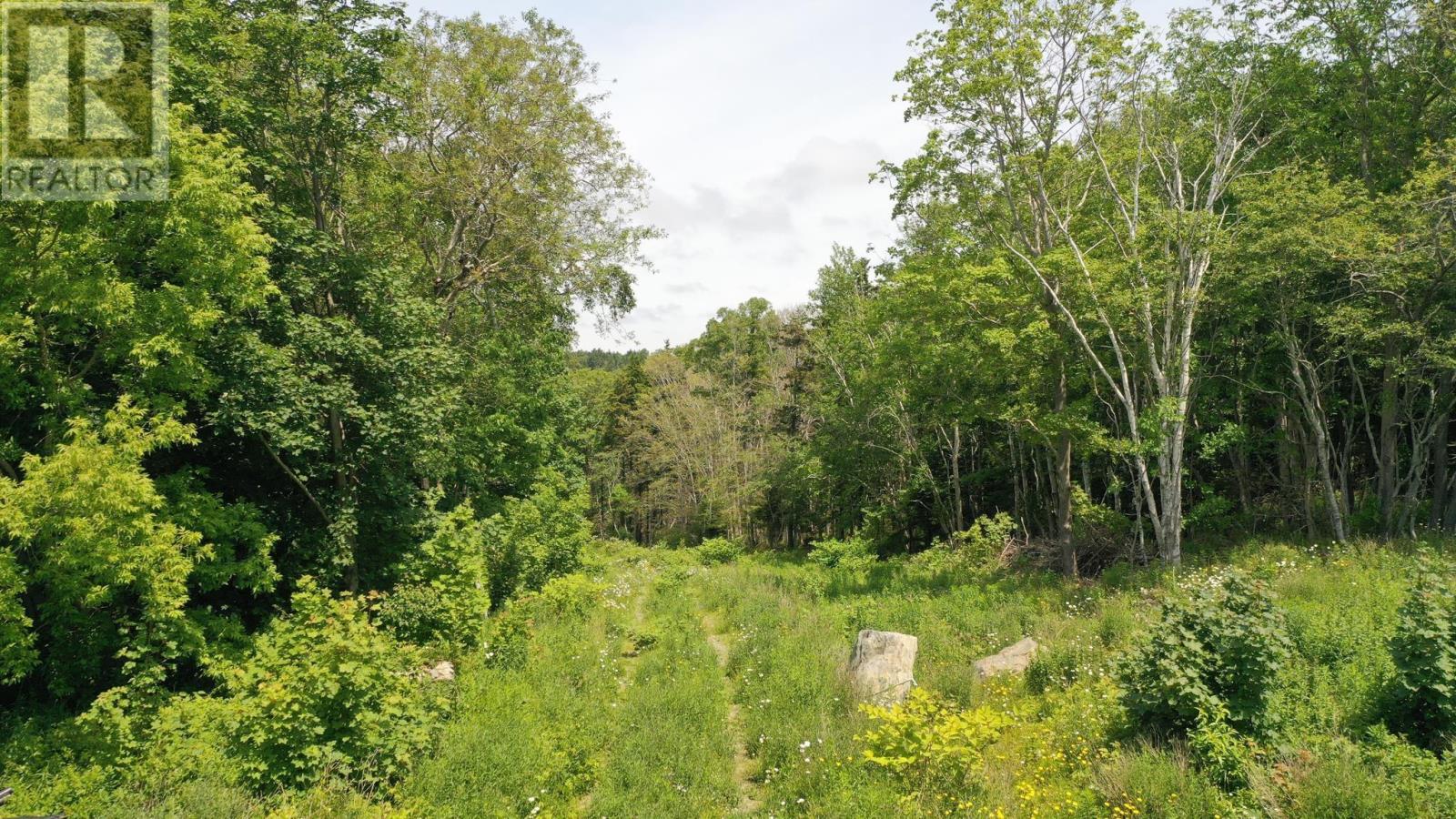 Weymouth Falls Road, Weymouth Falls, Nova Scotia  B0W 3T0 - Photo 15 - 202504911