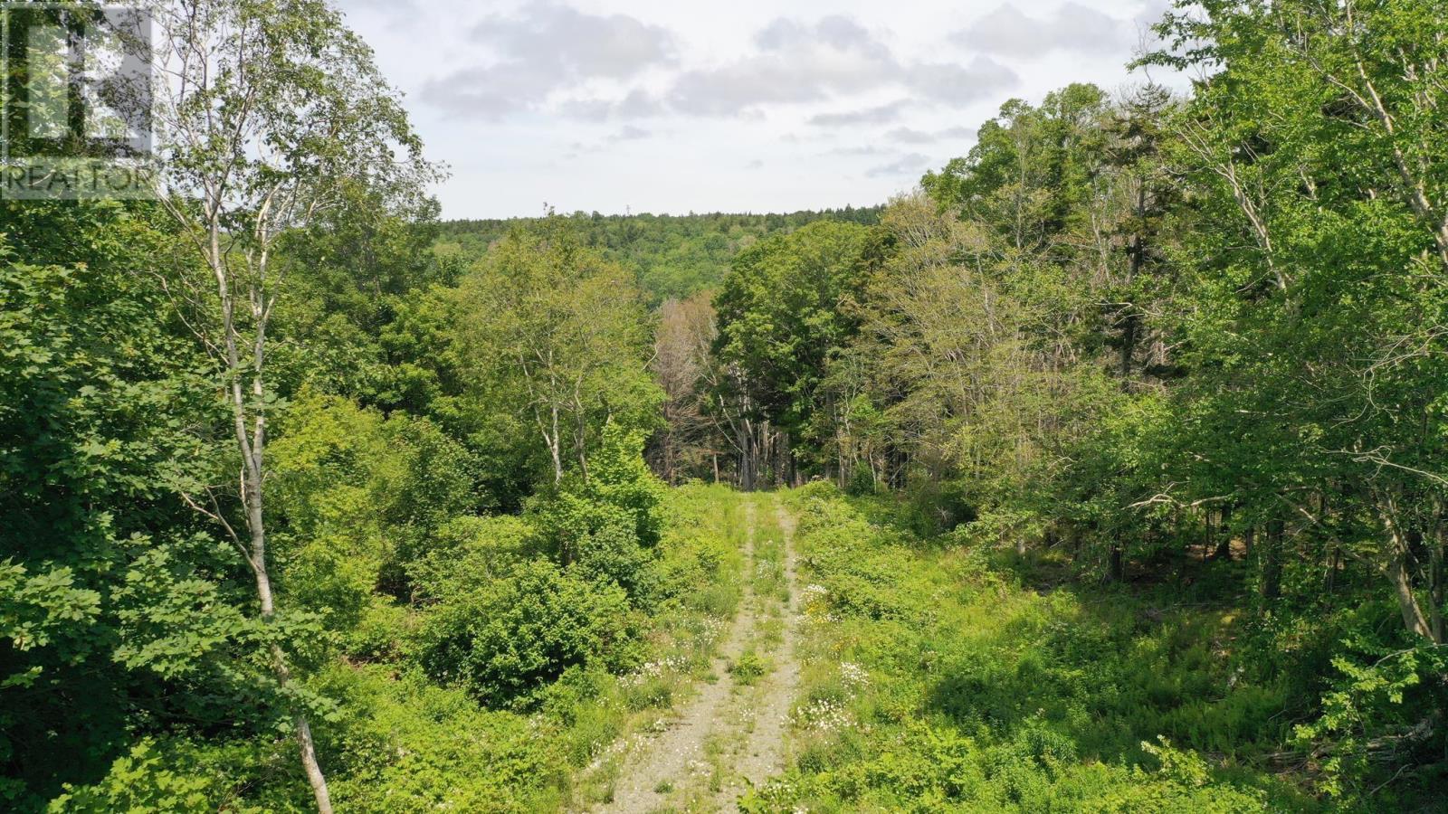 Weymouth Falls Road, Weymouth Falls, Nova Scotia  B0W 3T0 - Photo 16 - 202504911