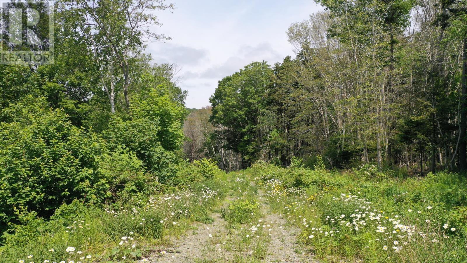 Weymouth Falls Road, Weymouth Falls, Nova Scotia  B0W 3T0 - Photo 17 - 202504911