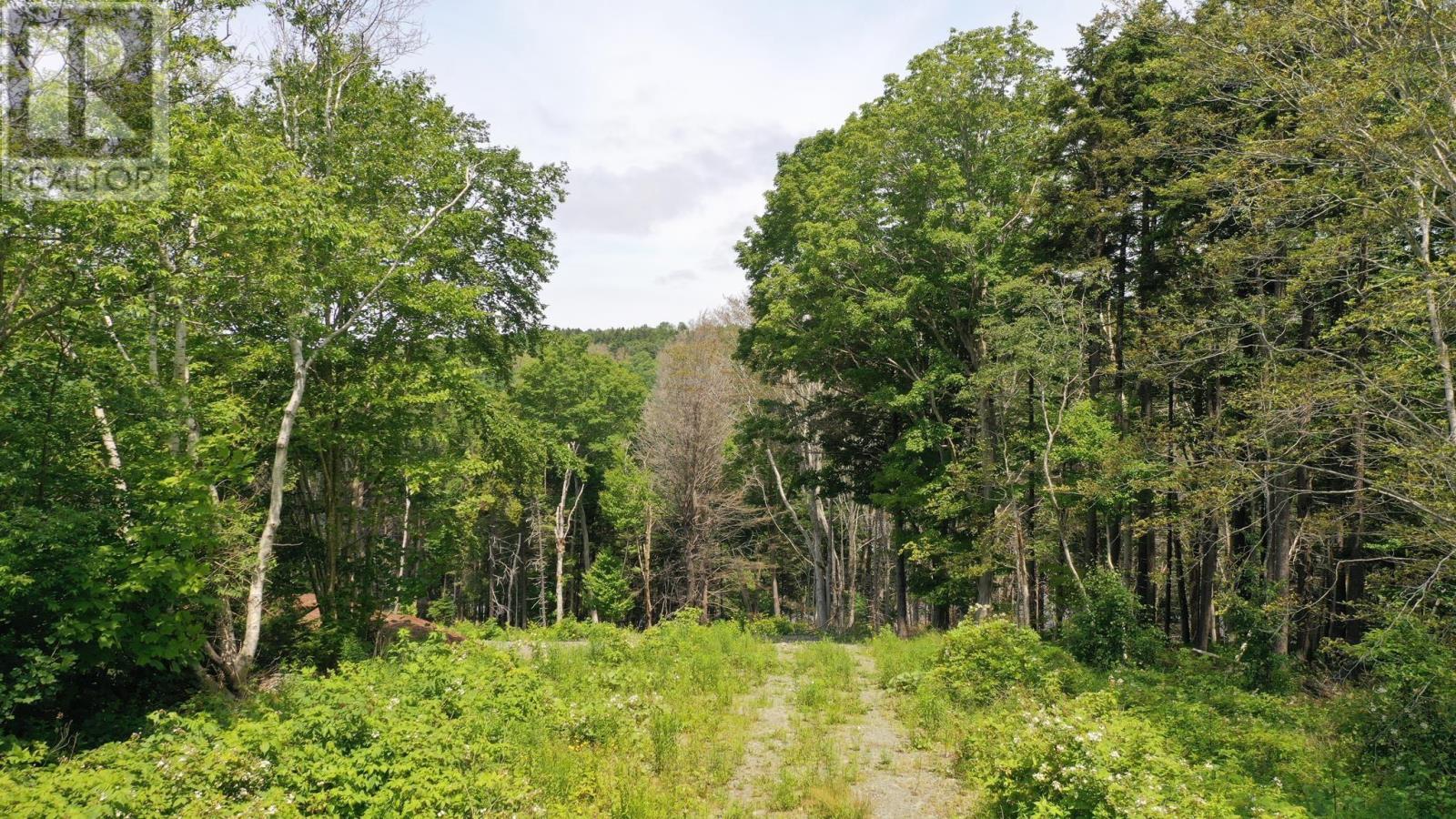 Weymouth Falls Road, Weymouth Falls, Nova Scotia  B0W 3T0 - Photo 18 - 202504911